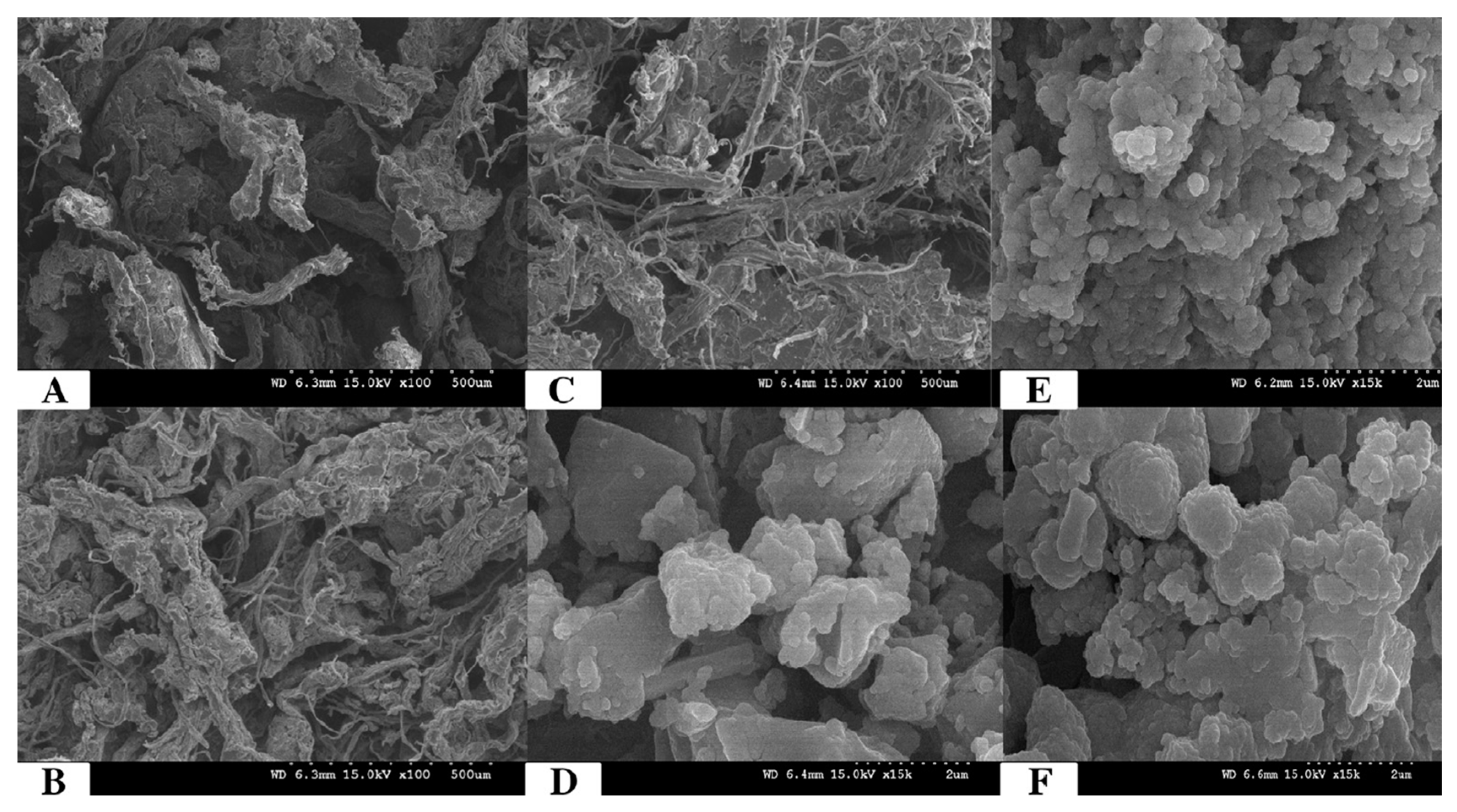 Carbon 10 00022 g008