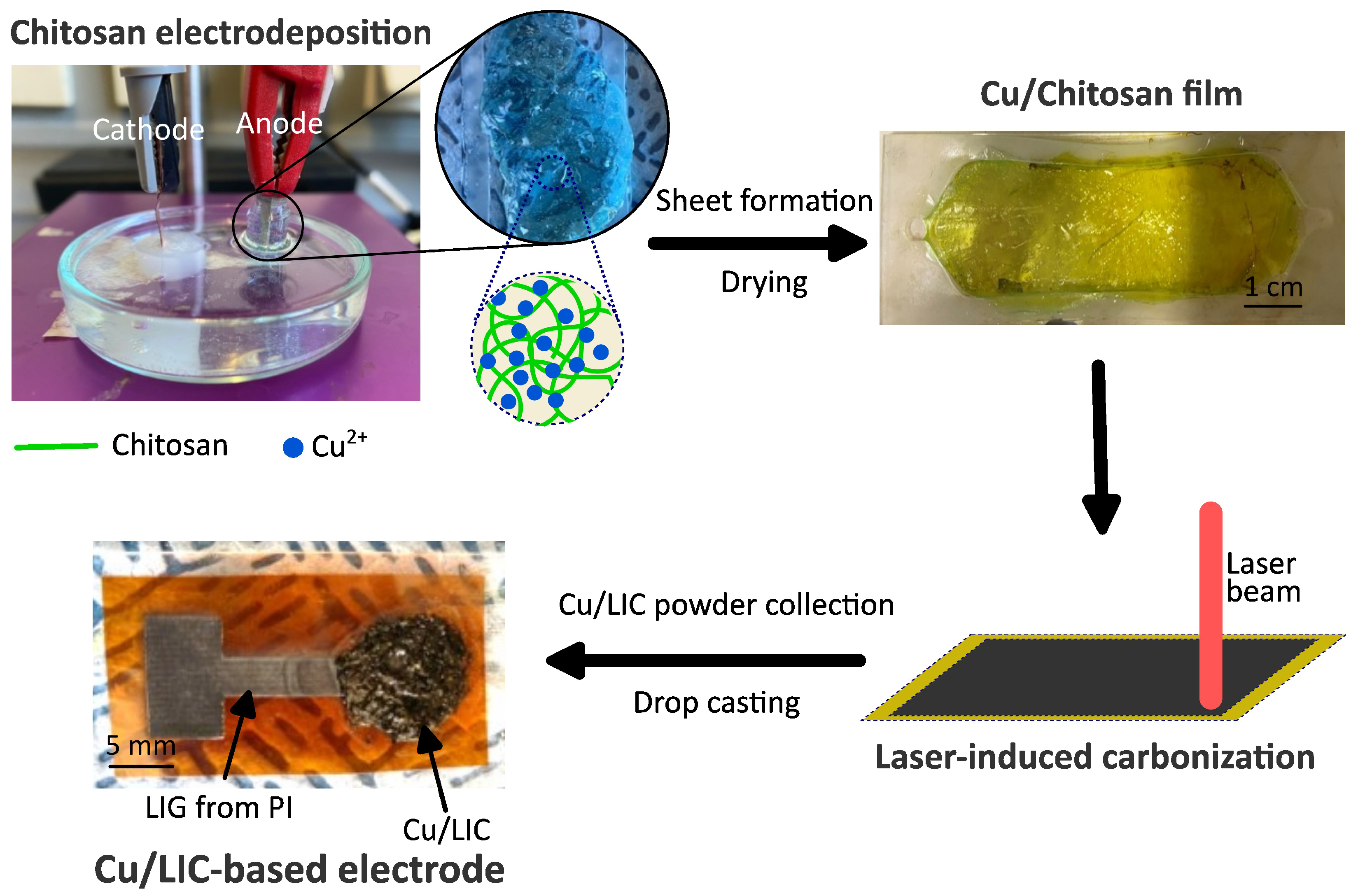 Carbon 10 00028 g001