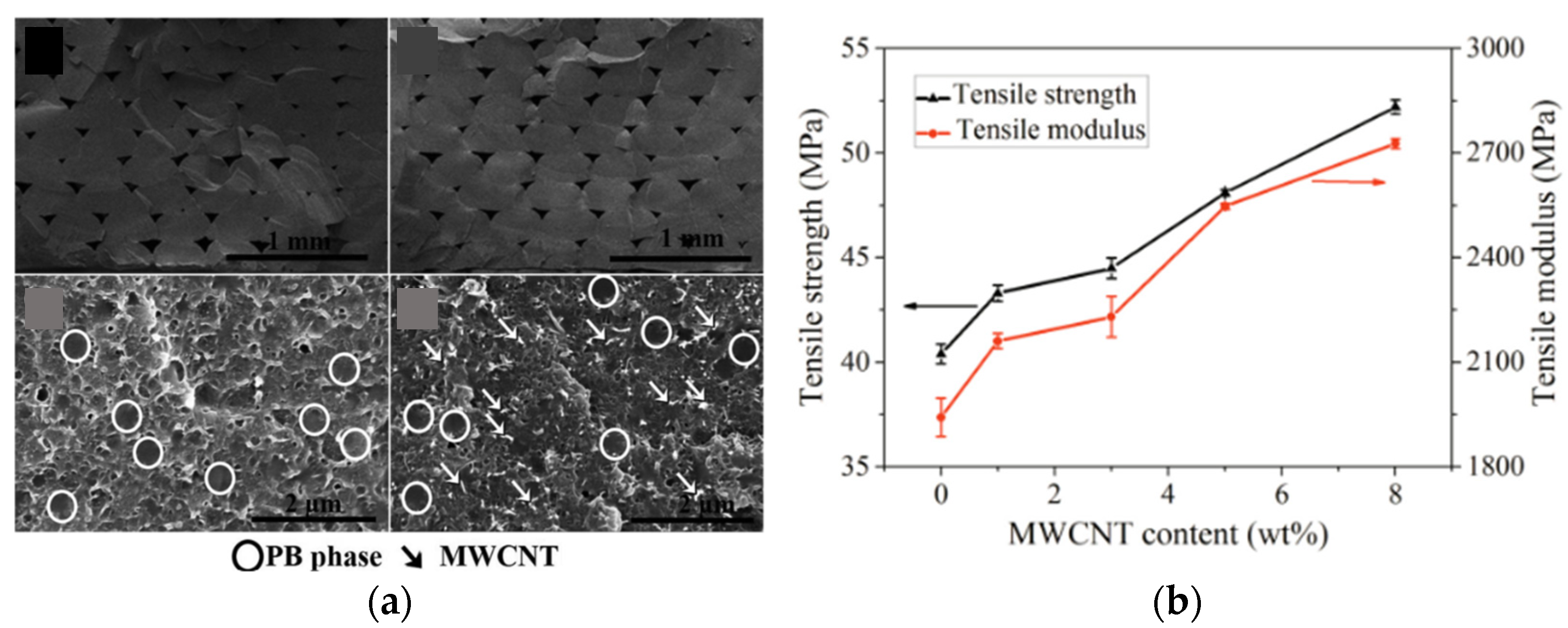 Carbon 10 00029 g007