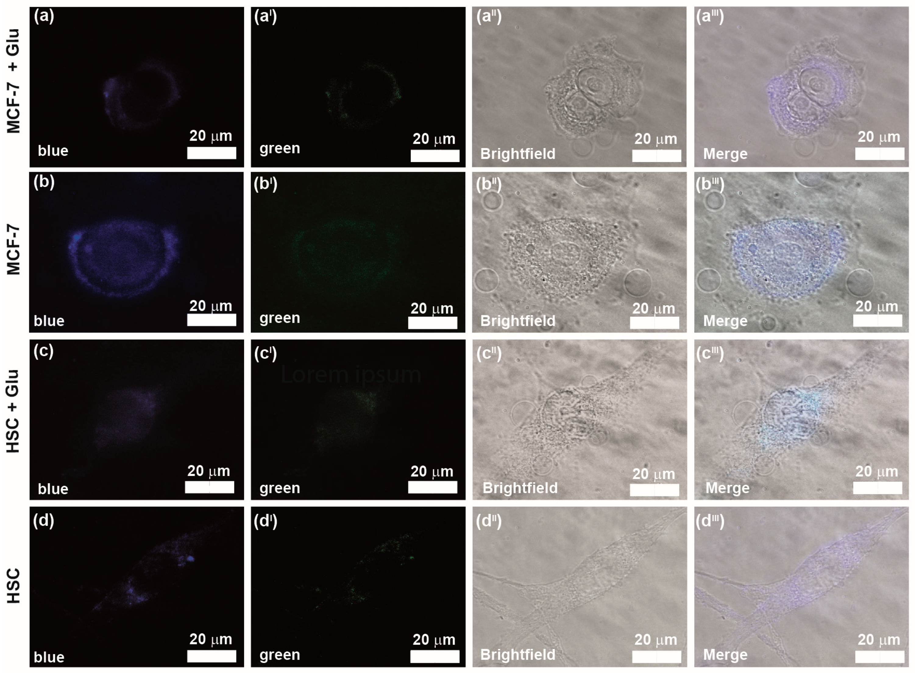 Carbon 10 00035 g008