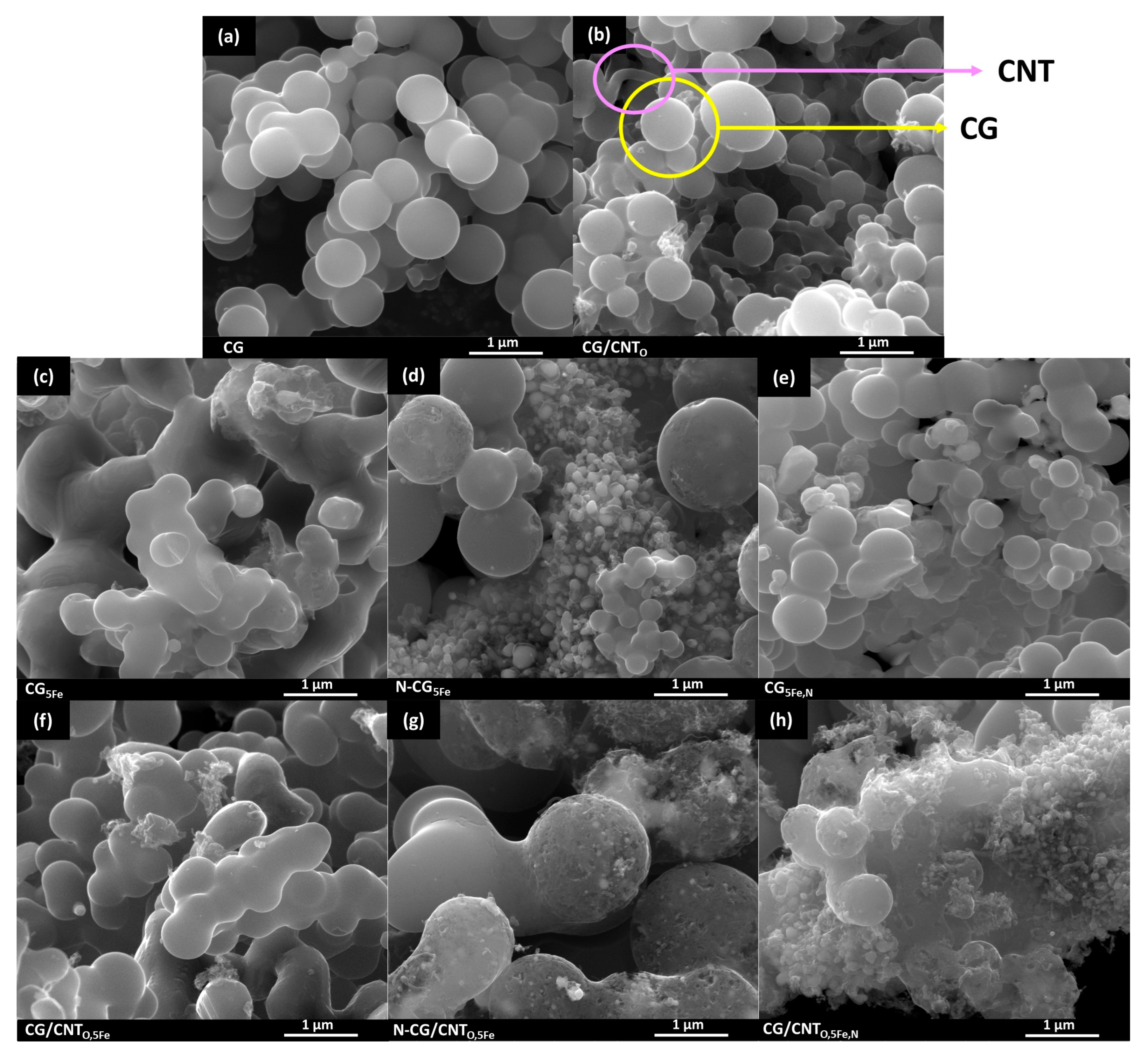 Carbon 10 00047 g003