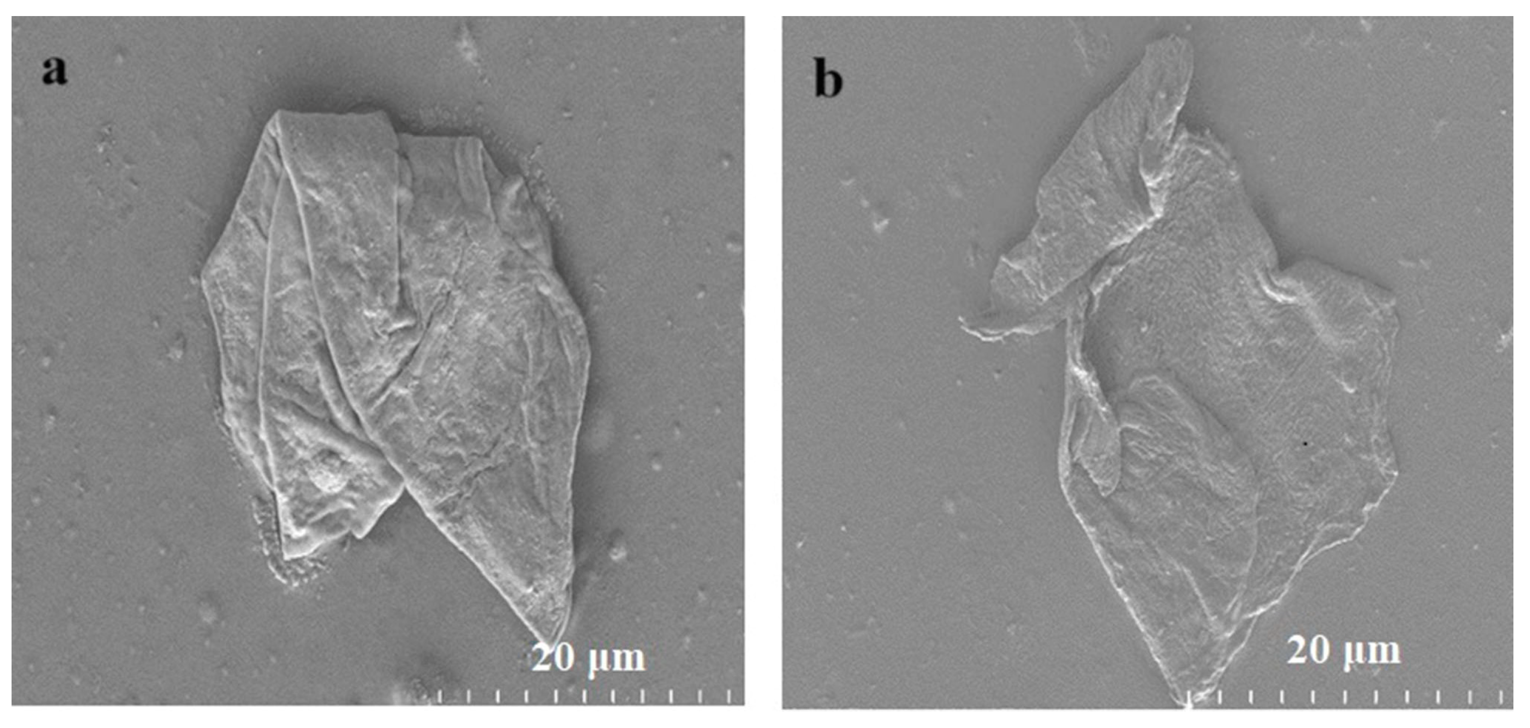 Carbon 10 00052 g002