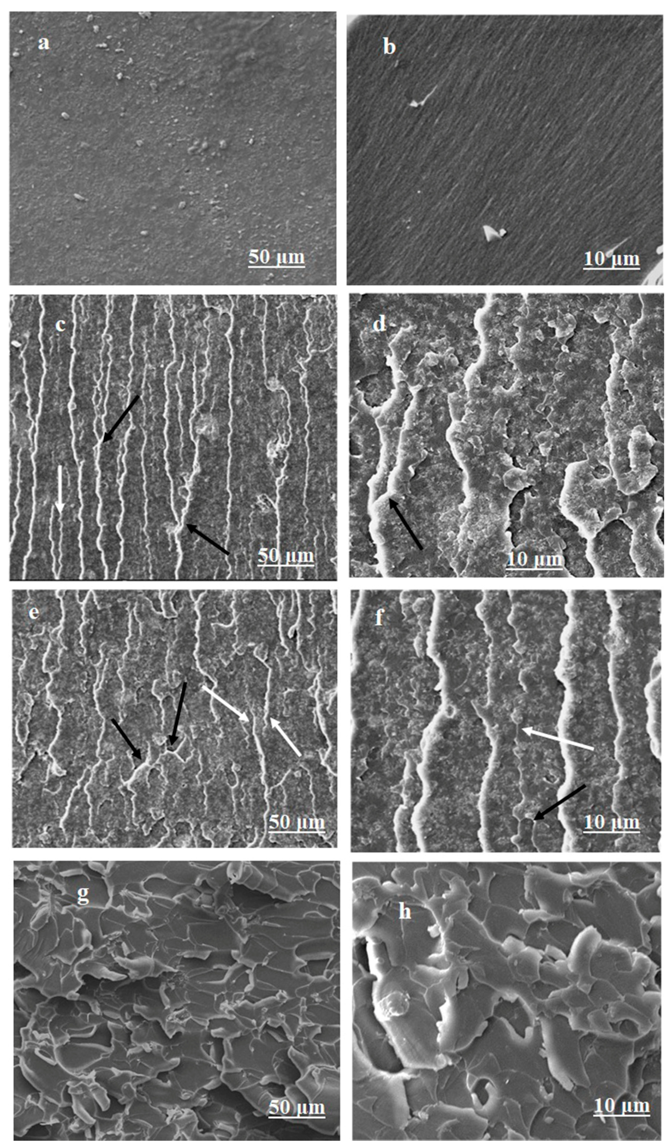 Carbon 10 00052 g006