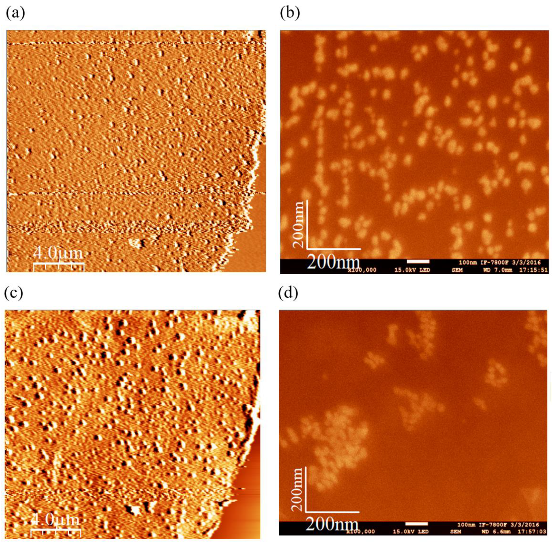 Carbon 10 00055 g010