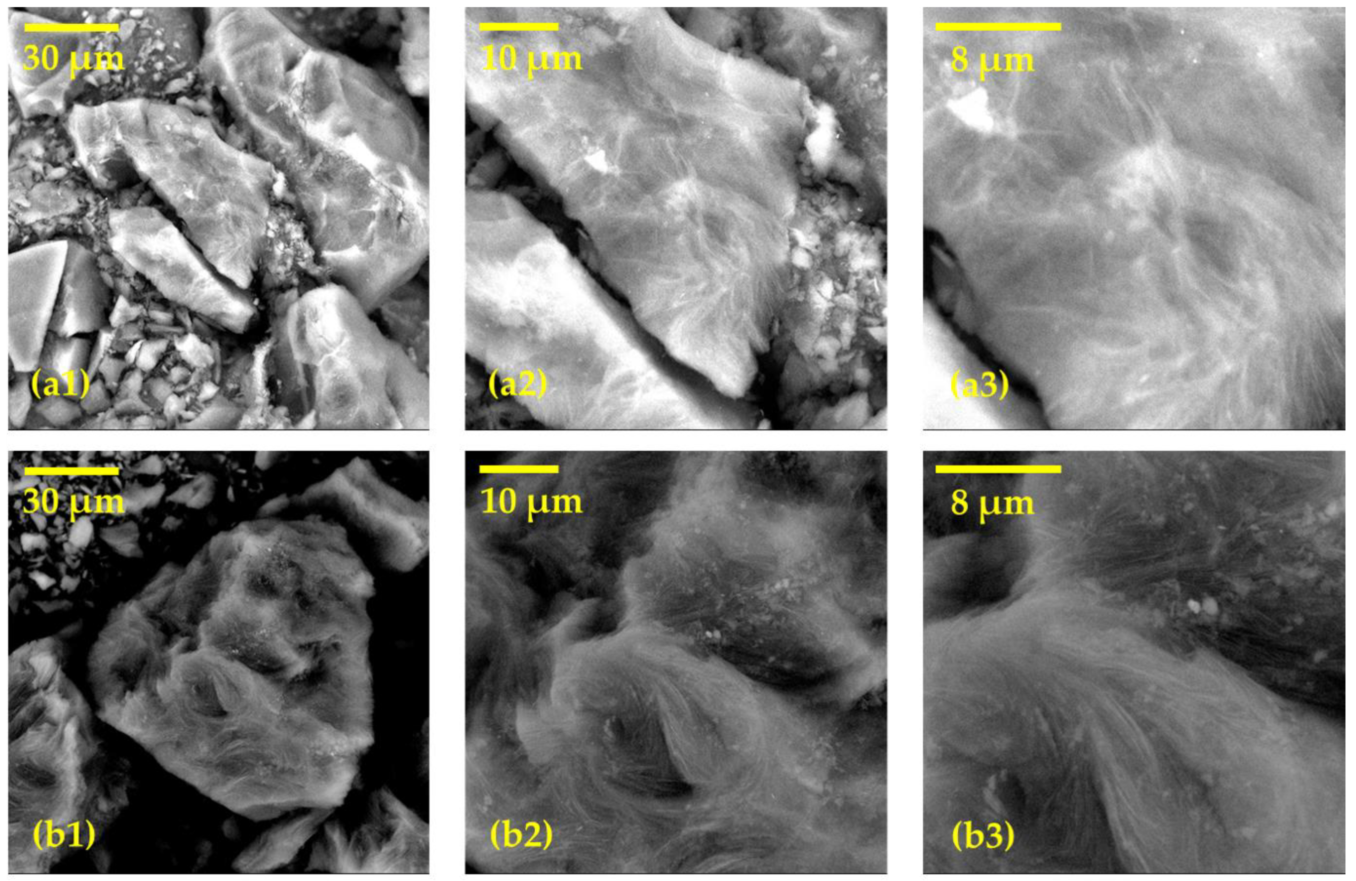 Carbon 10 00056 g001