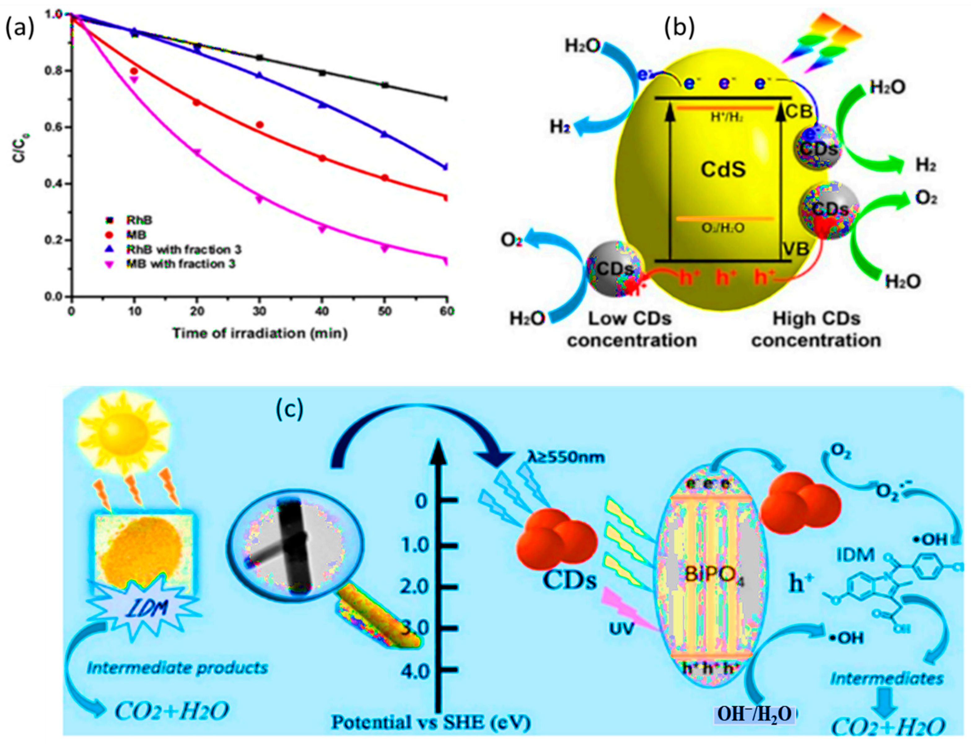 Carbon 10 00060 g015