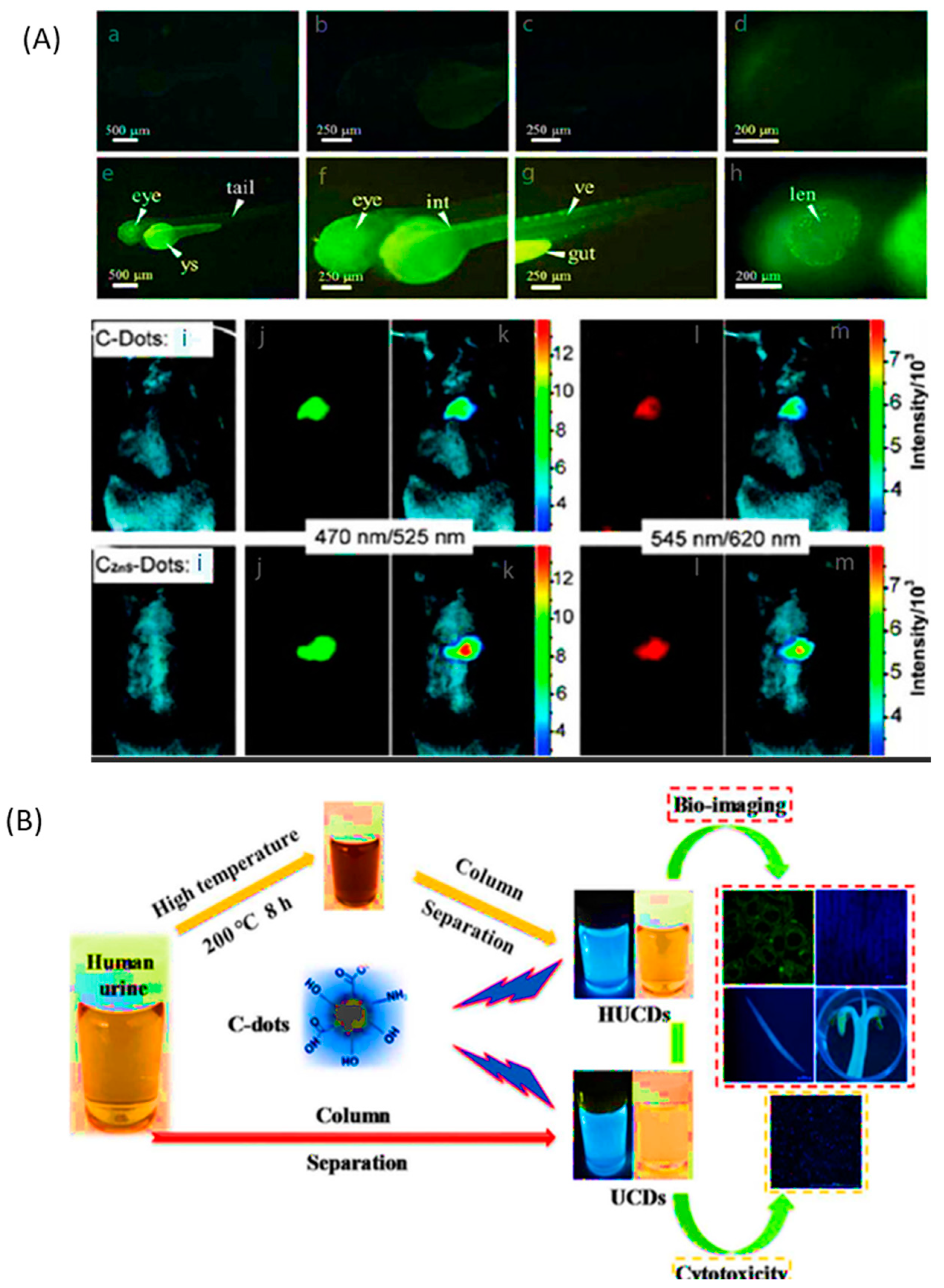 Carbon 10 00060 g017