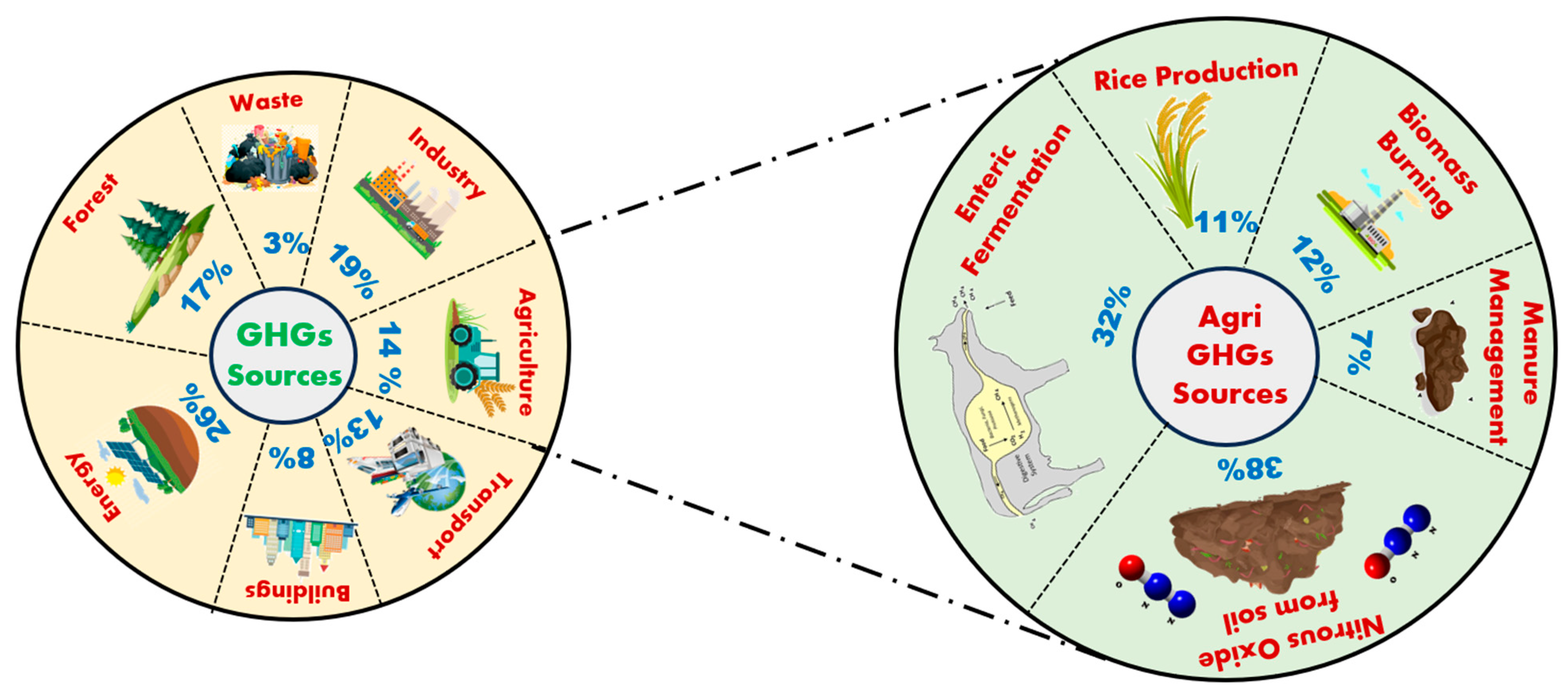 Carbon 10 00065 g001