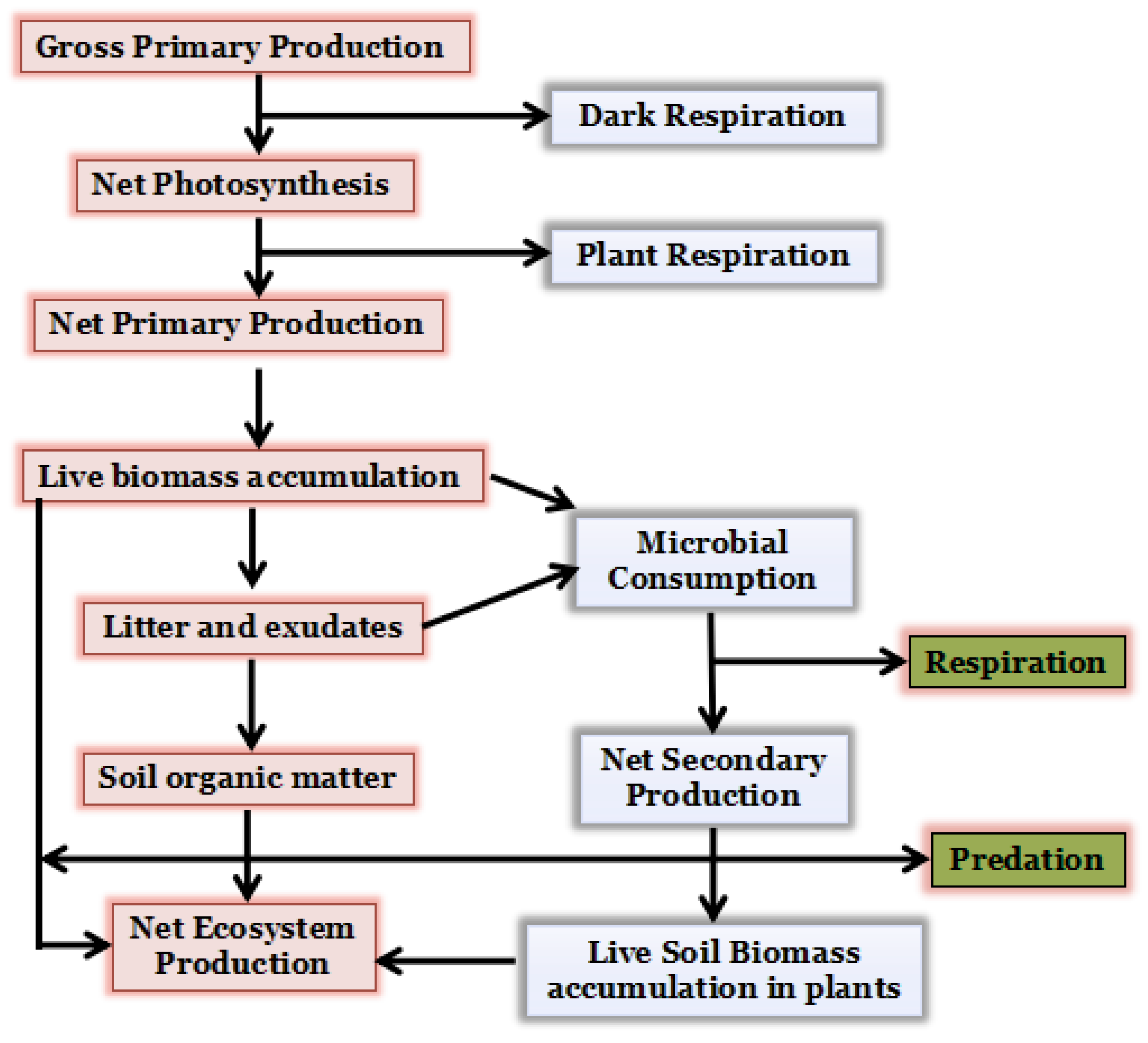 Carbon 10 00065 g005