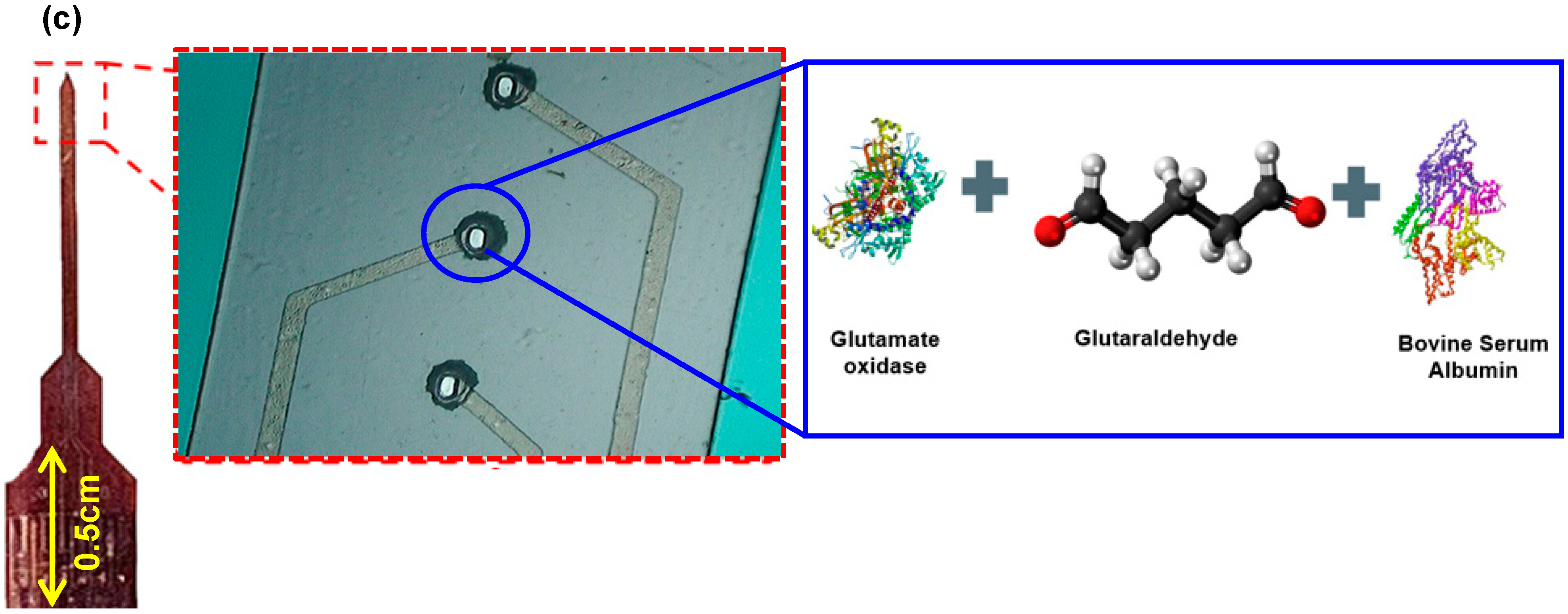 Carbon 10 00068 g001b Carbon 10 00068 g001b