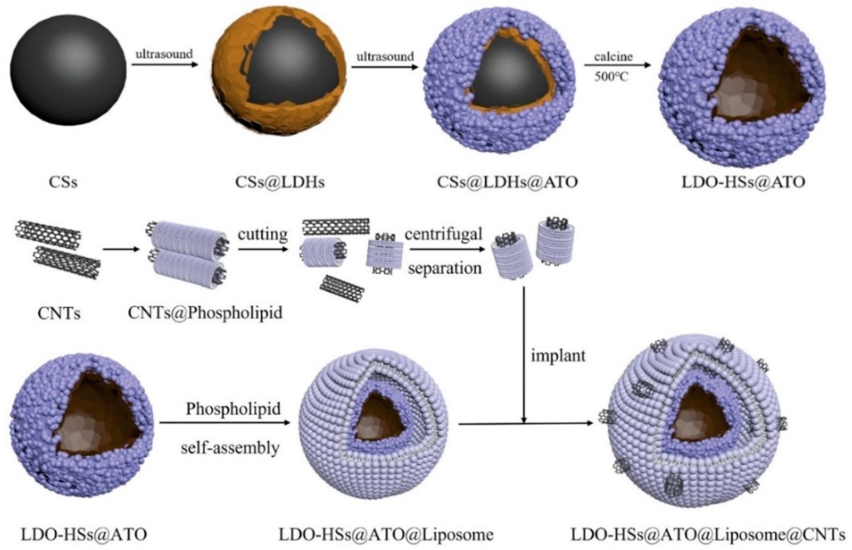 Carbon 10 00069 g003