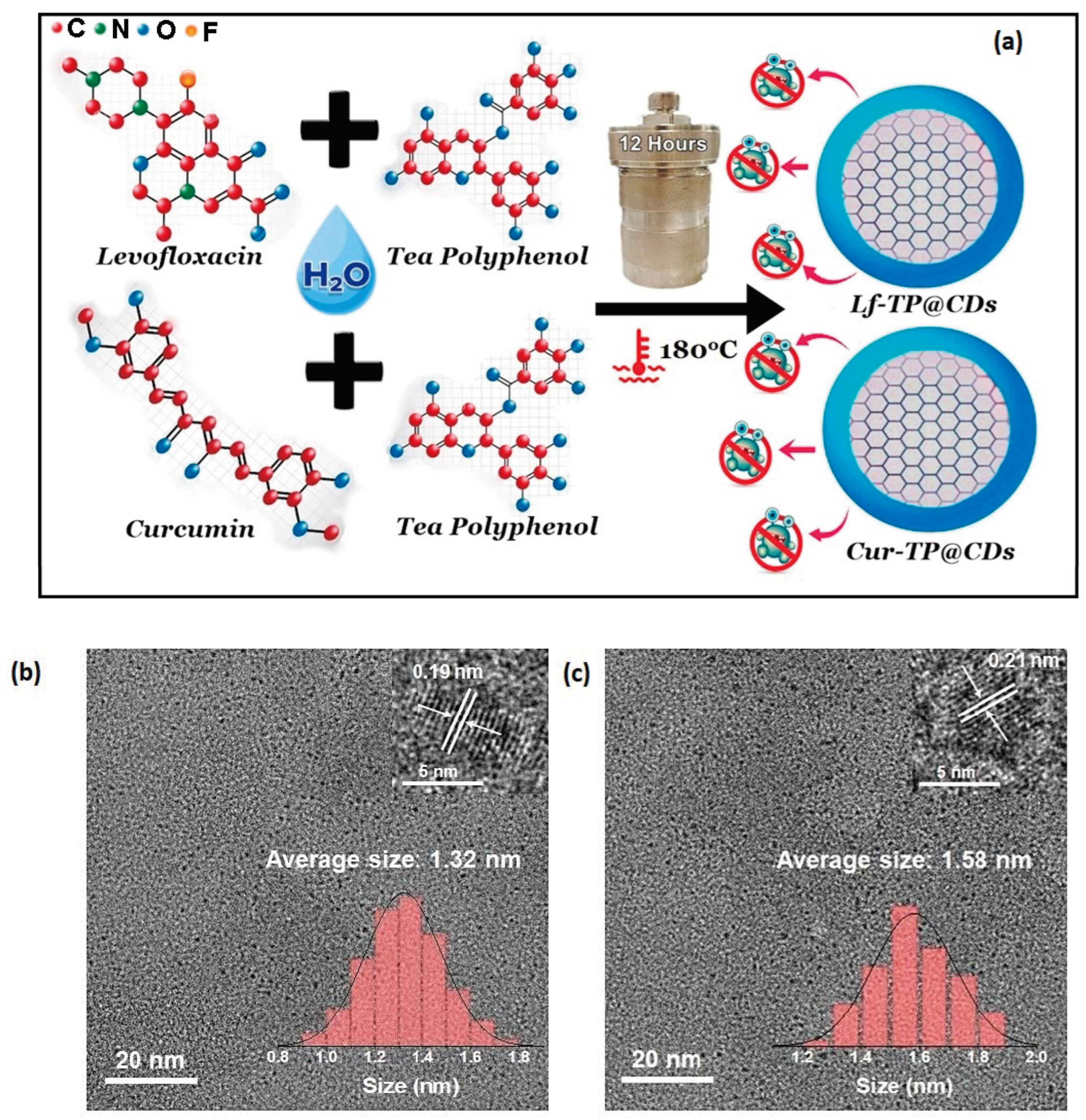 Carbon 10 00084 g001
