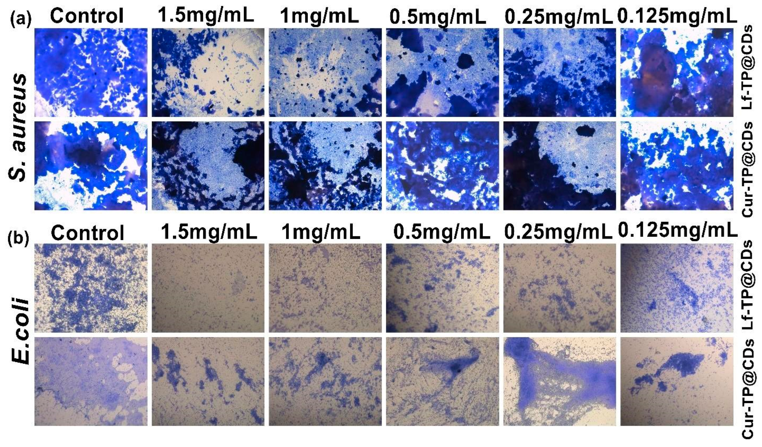 Carbon 10 00084 g006