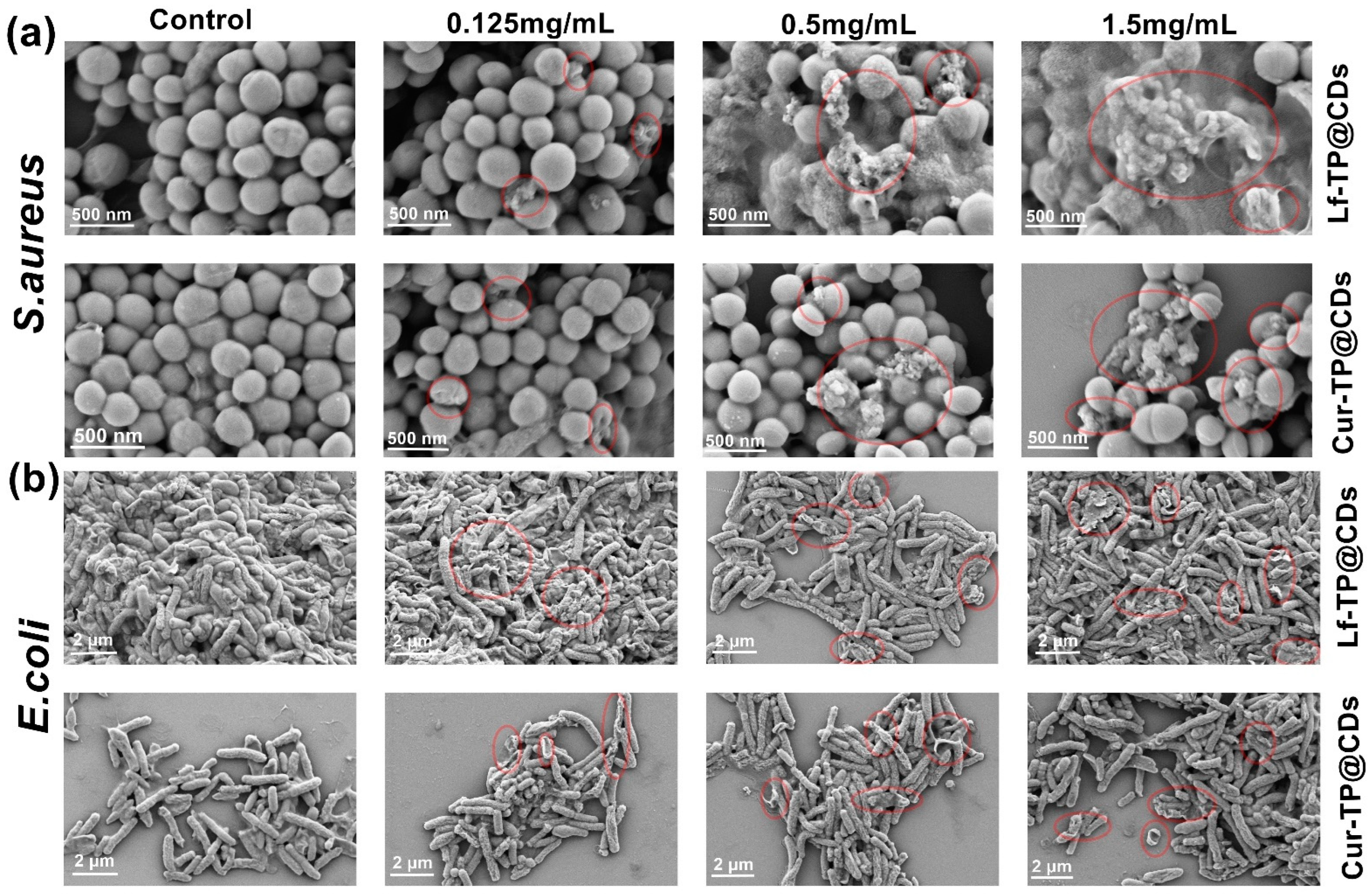 Carbon 10 00084 g007