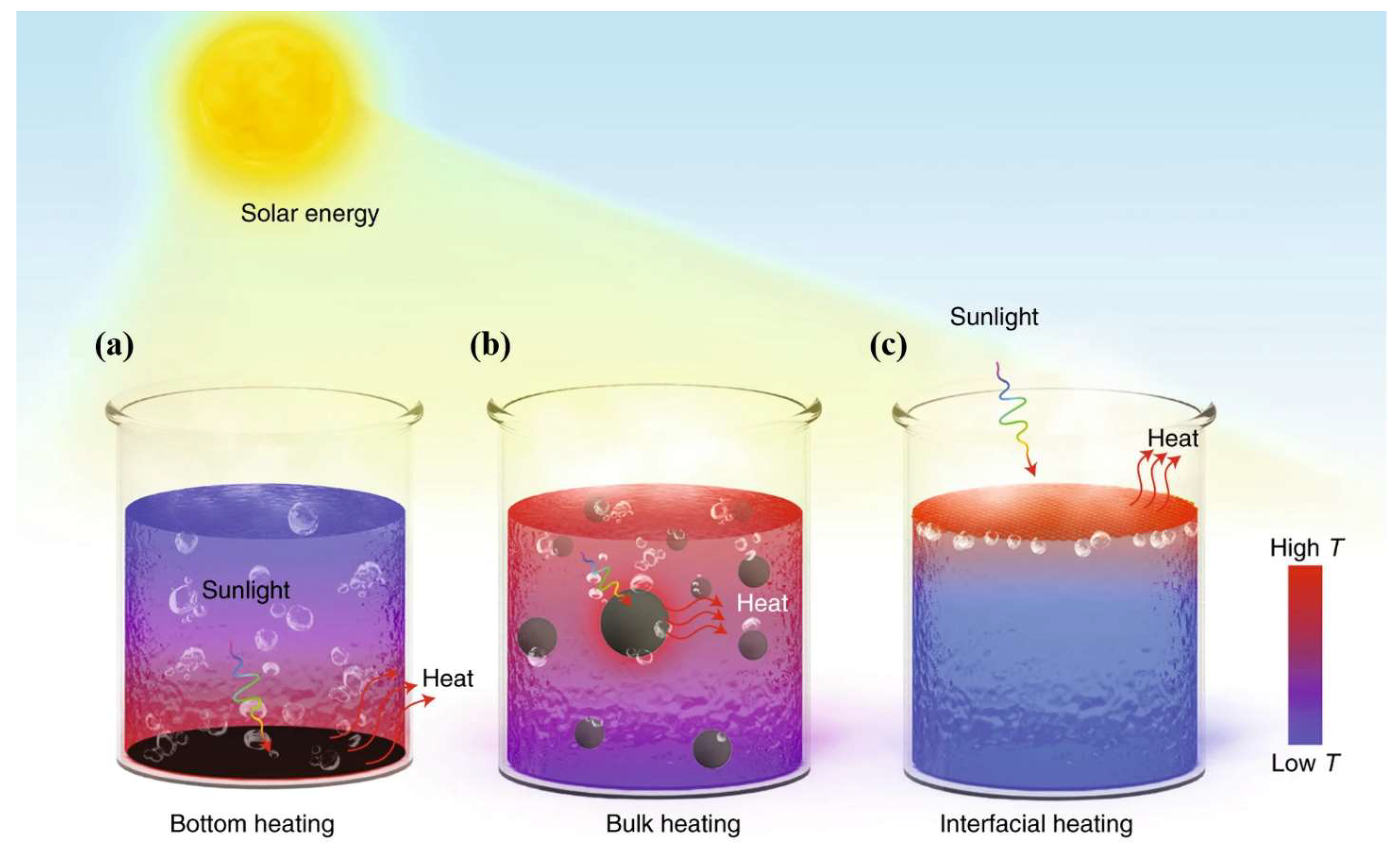 Carbon 10 00086 g001