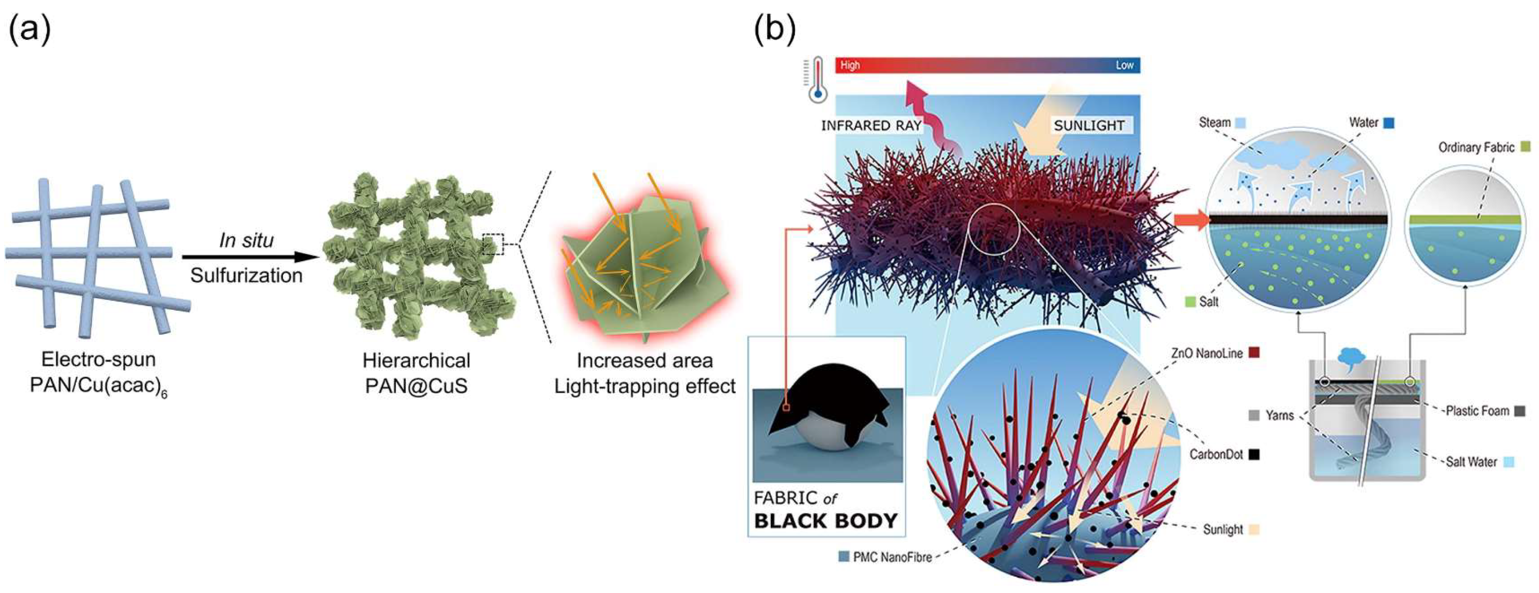 Carbon 10 00086 g006