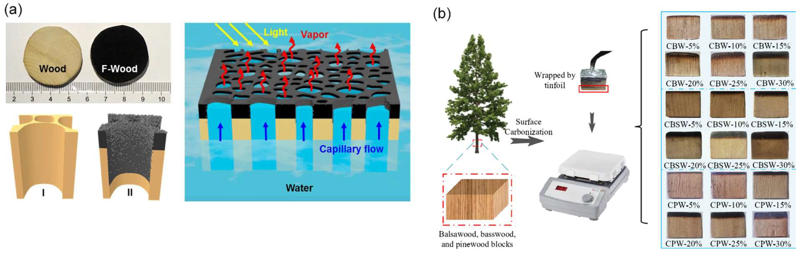 Carbon 10 00086 g007