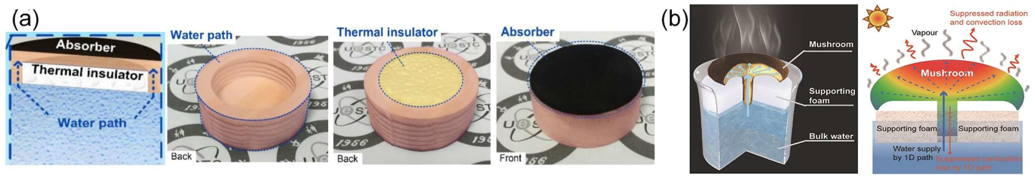 Carbon 10 00086 g016