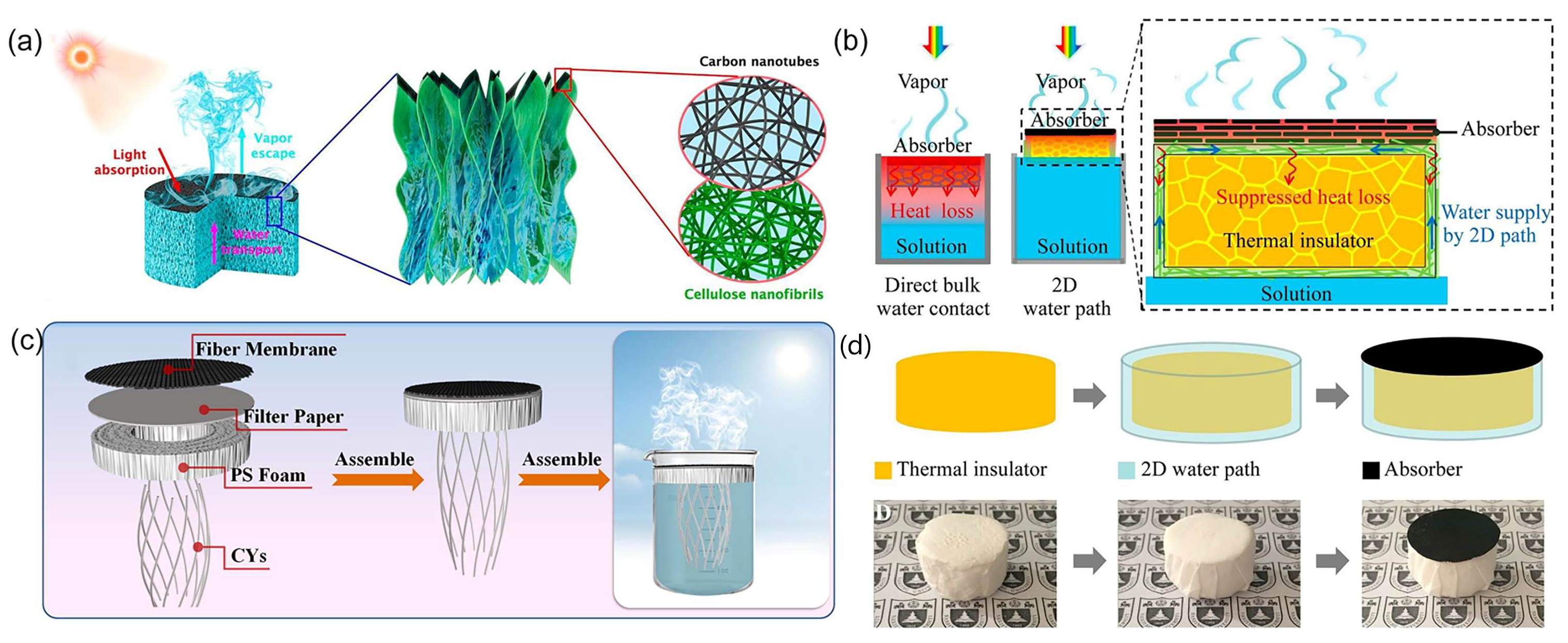 Carbon 10 00086 g017