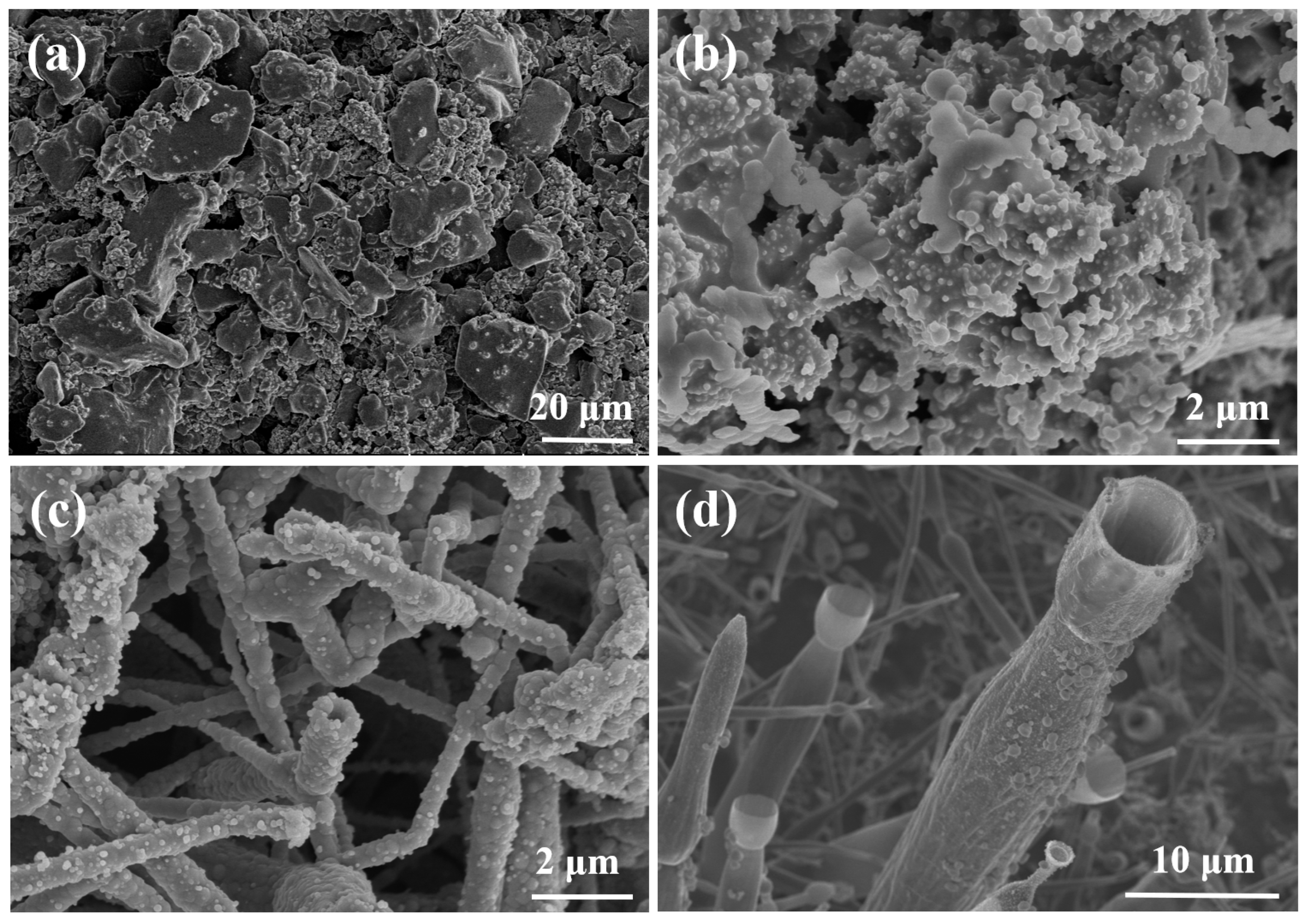 Carbon 10 00087 g001