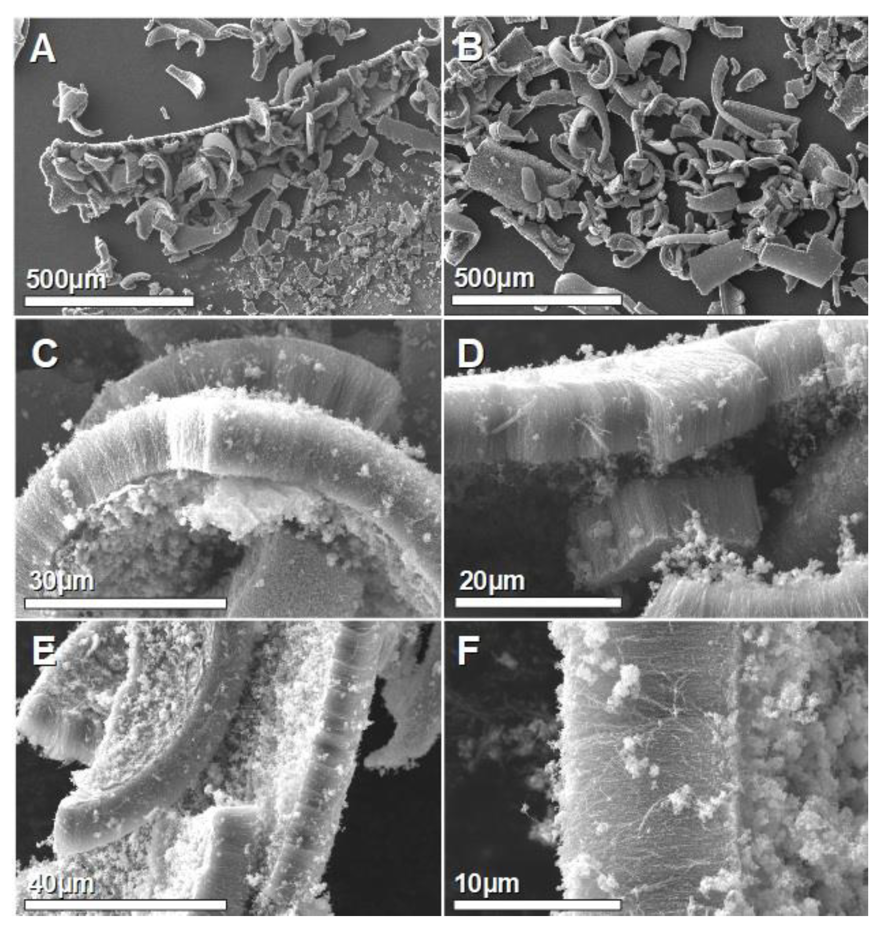 Carbon 10 00091 g002