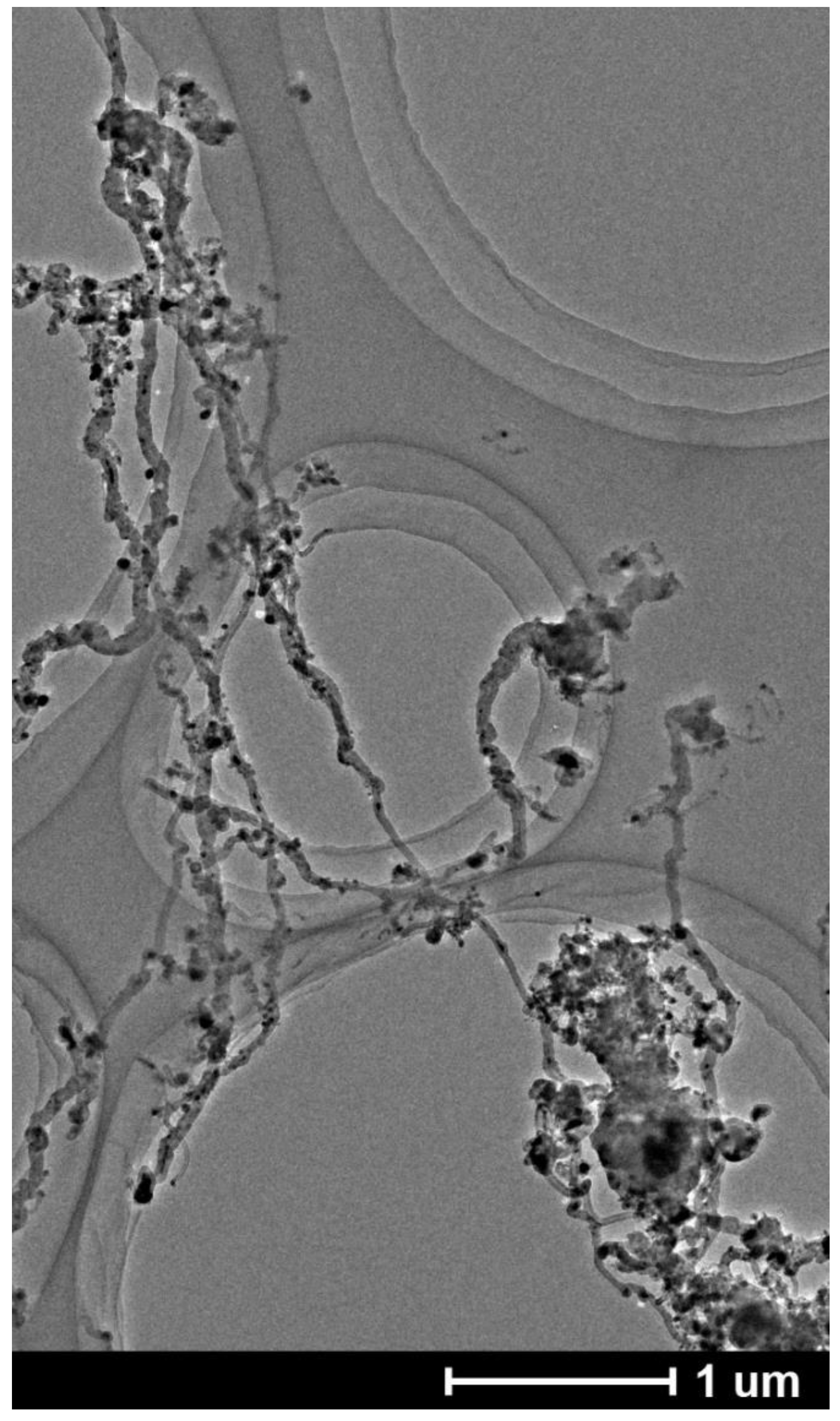 Carbon 10 00091 g004