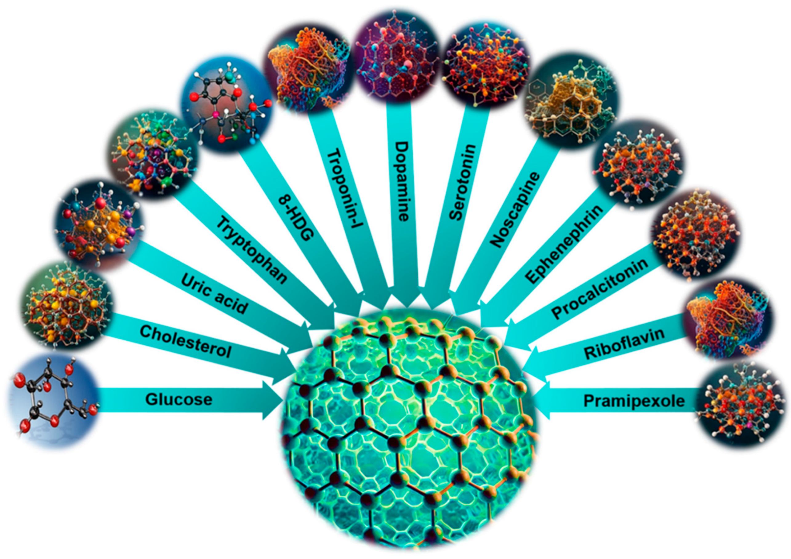 Carbon 10 00098 g006