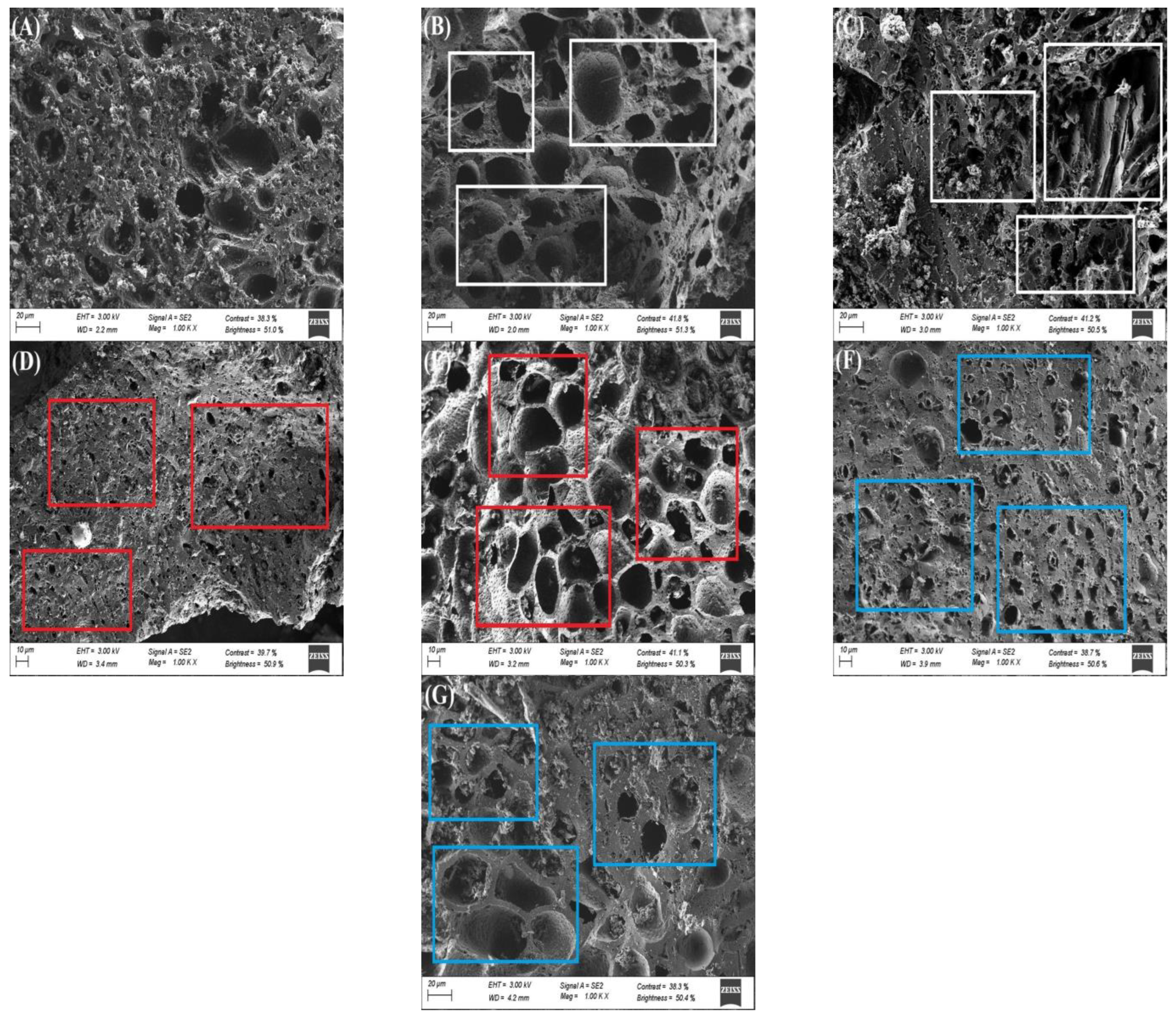 Carbon 11 00002 g003
