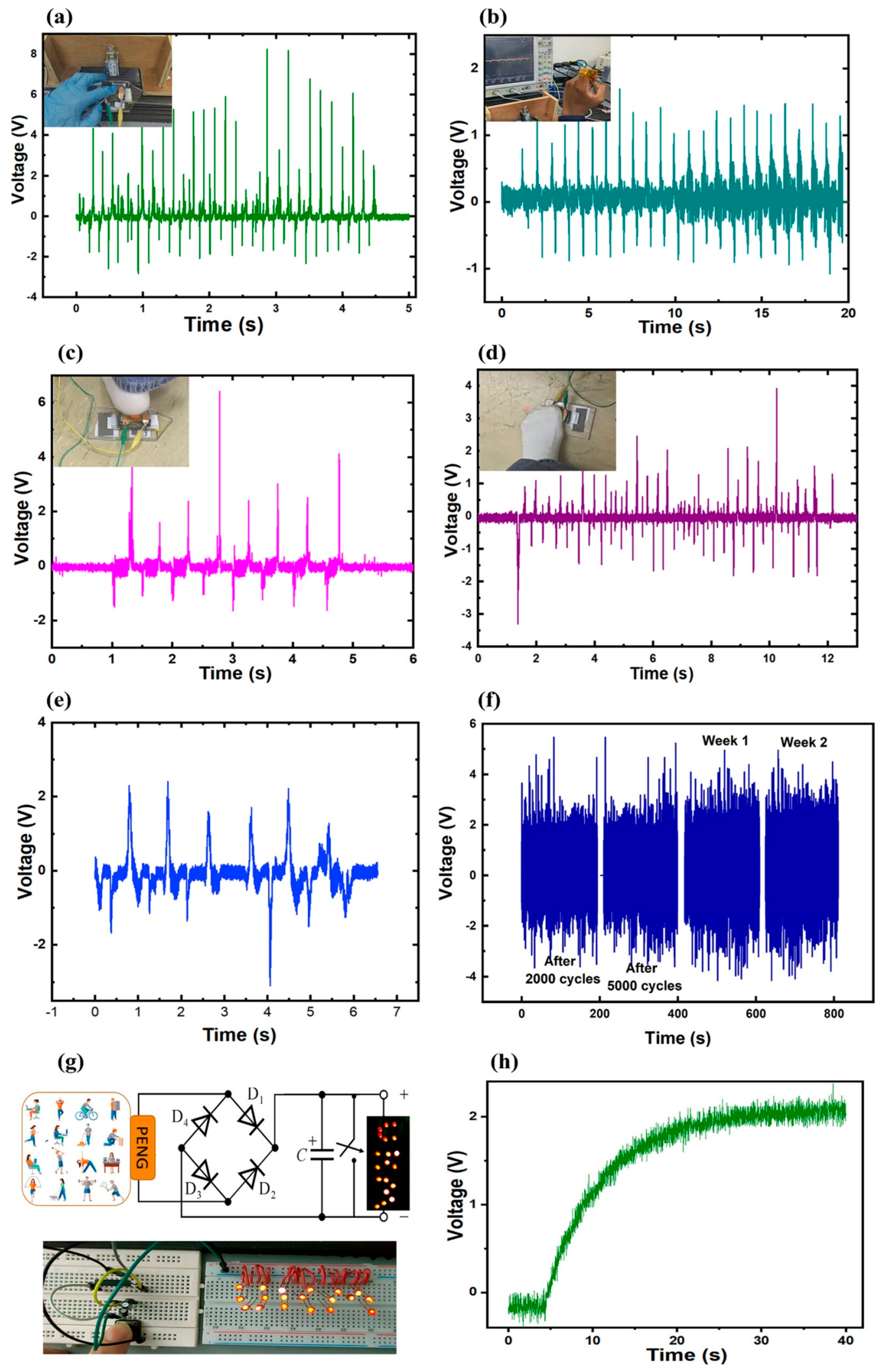 Carbon 11 00003 g006