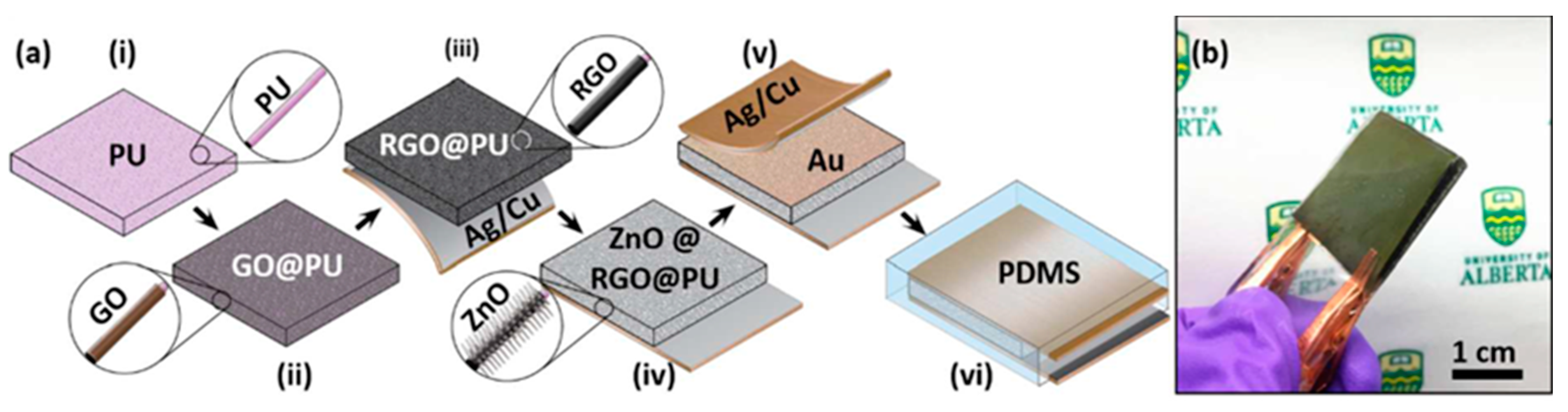Carbon 11 00003 g007