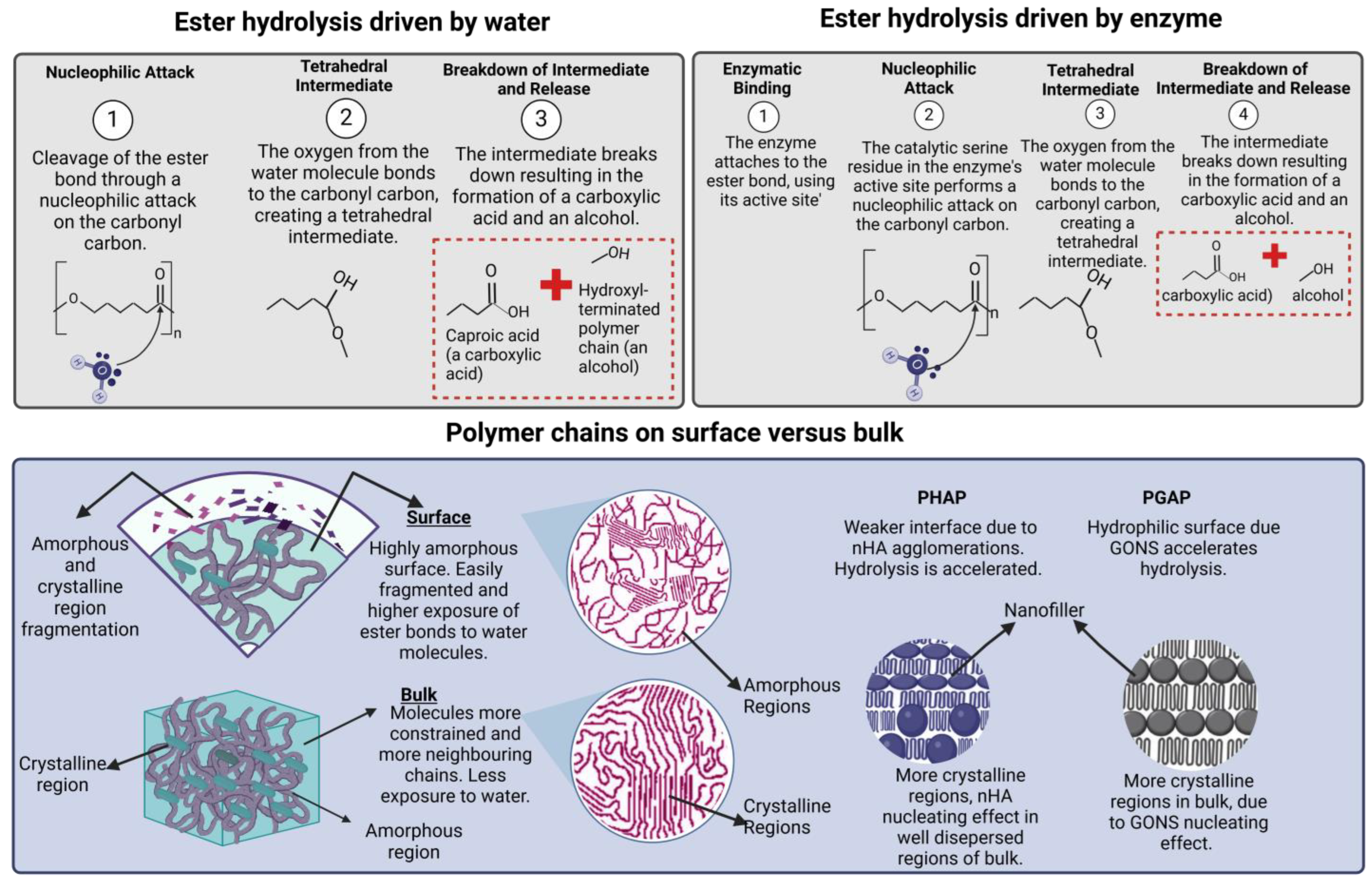 Carbon 11 00005 sch003