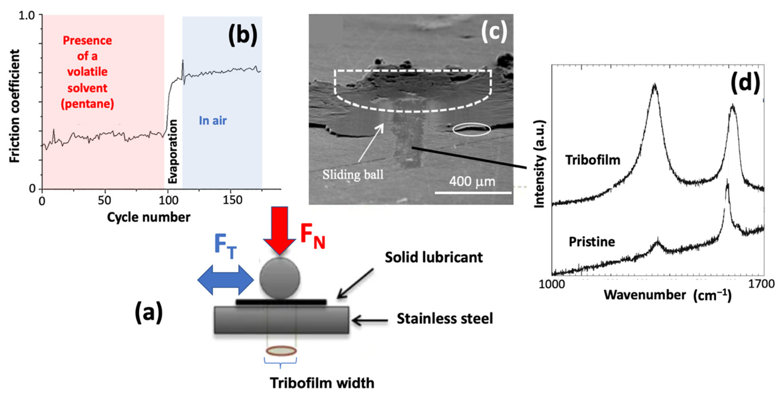 Carbon 11 00006 g002