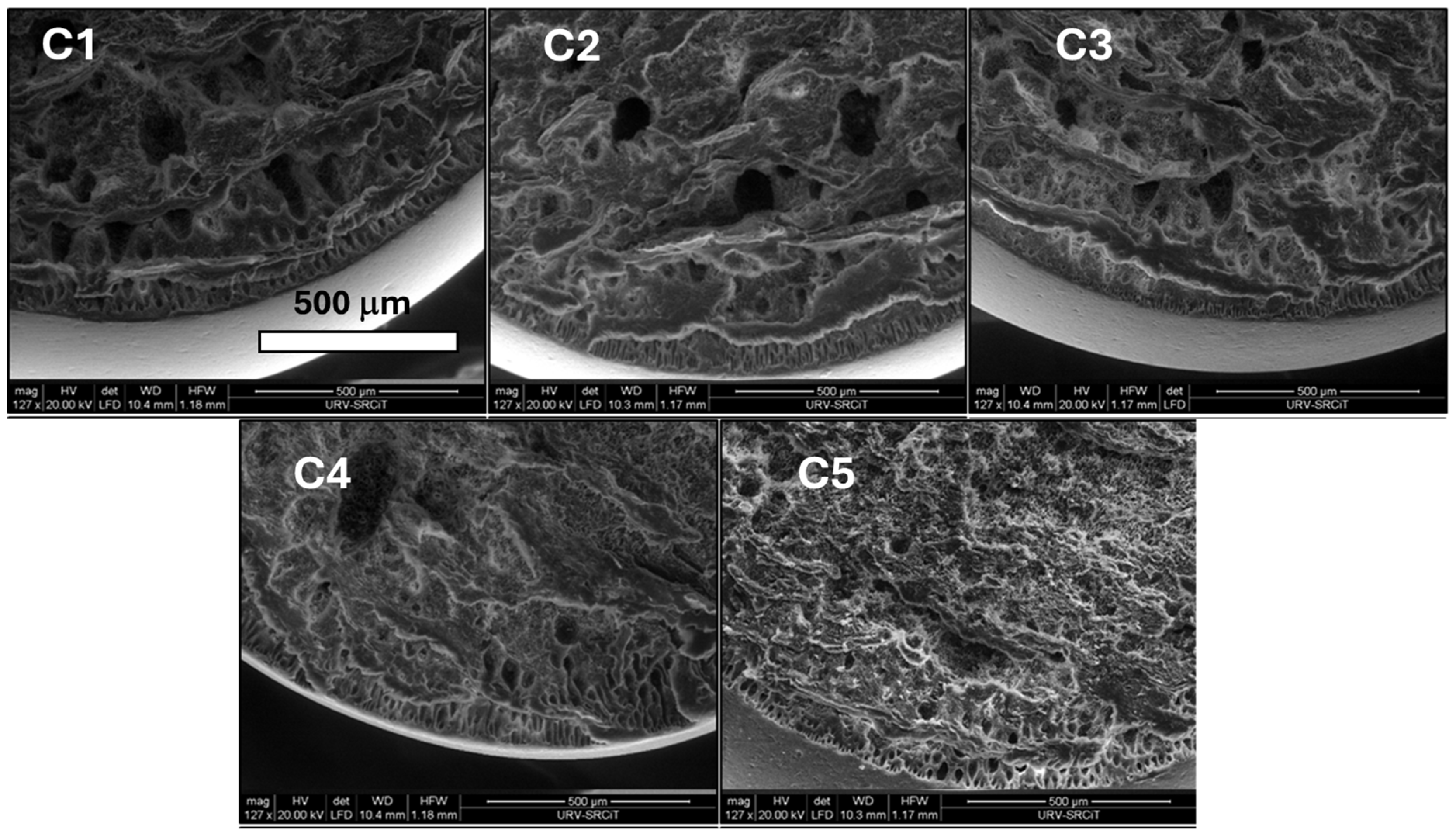 Carbon 11 00014 g003