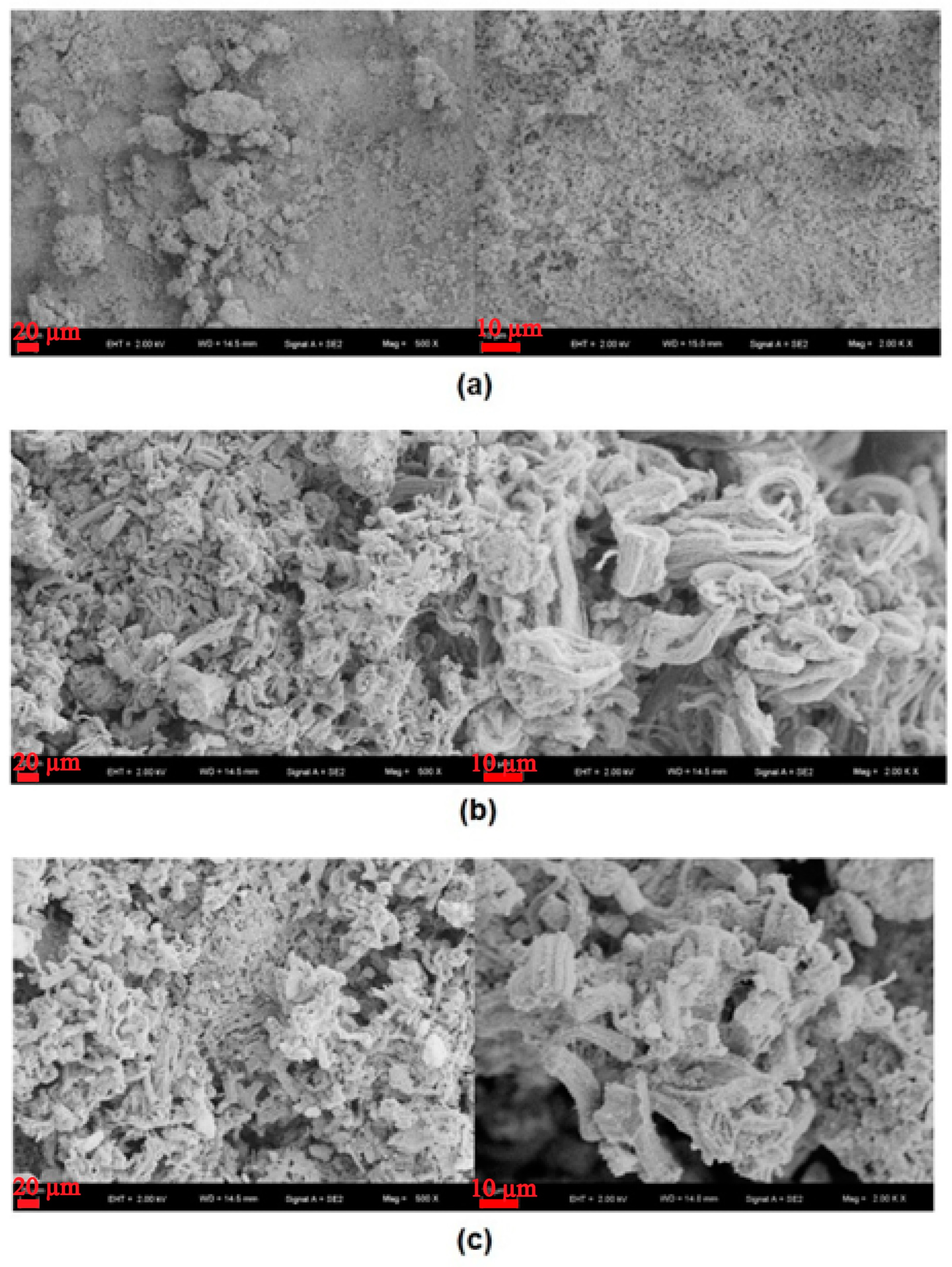 Carbon 11 00018 g002