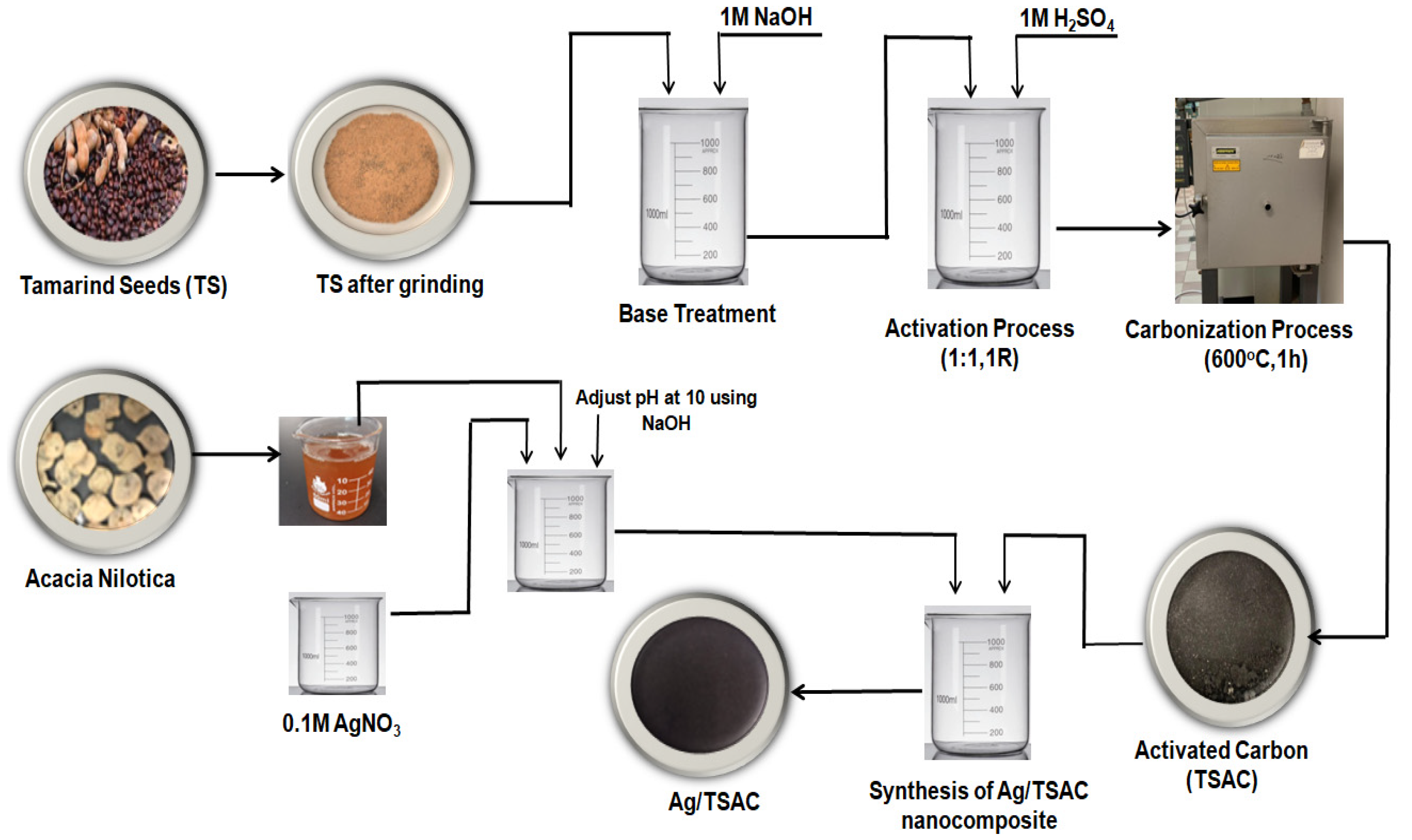 Carbon 11 00027 g001