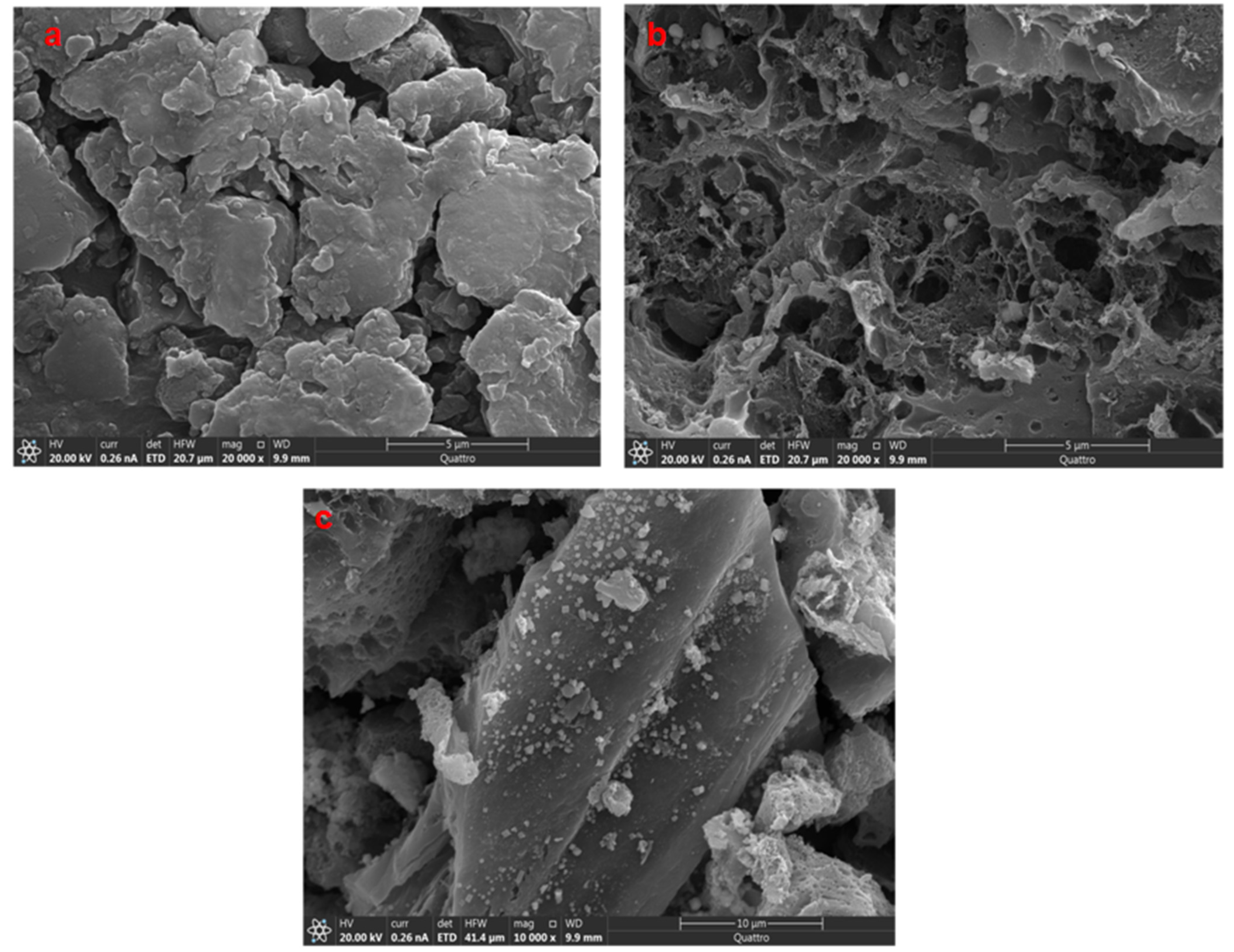 Carbon 11 00027 g003