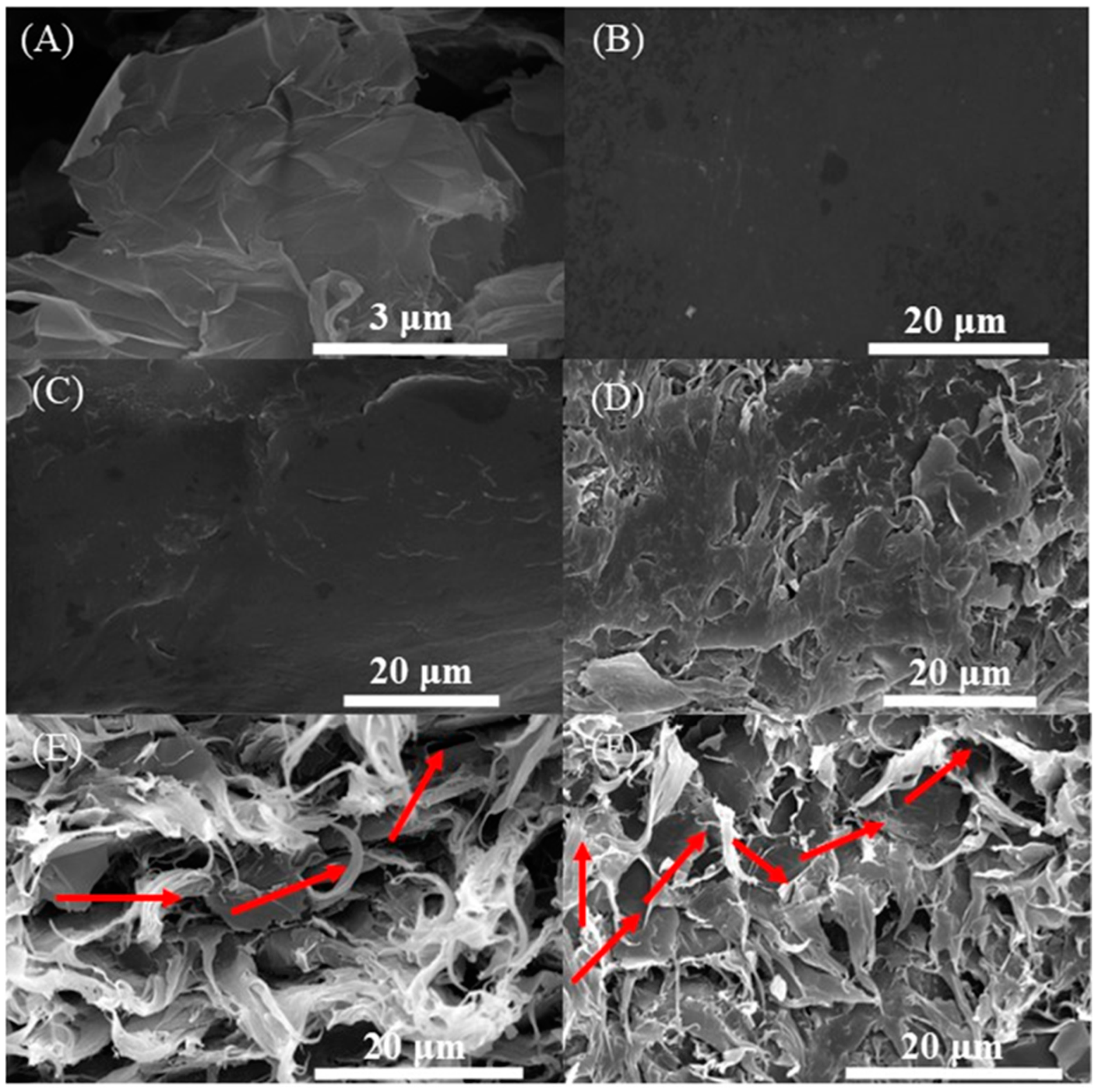 Carbon 11 00031 g007