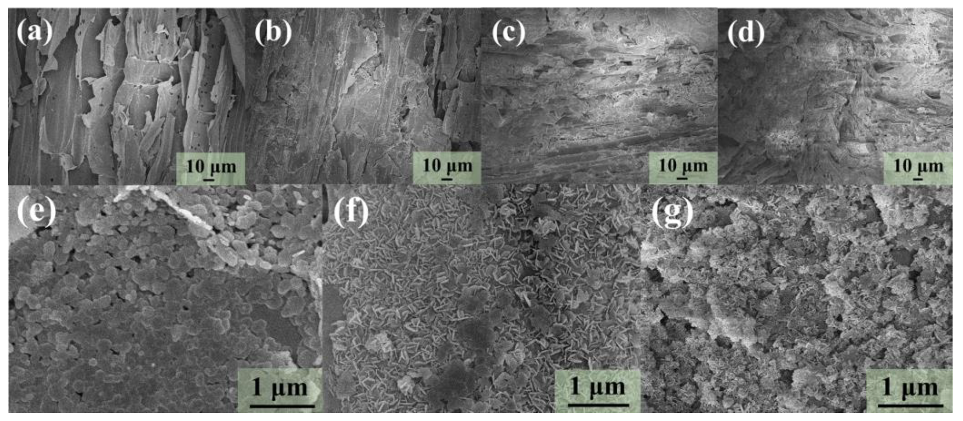 Carbon 11 00032 g002