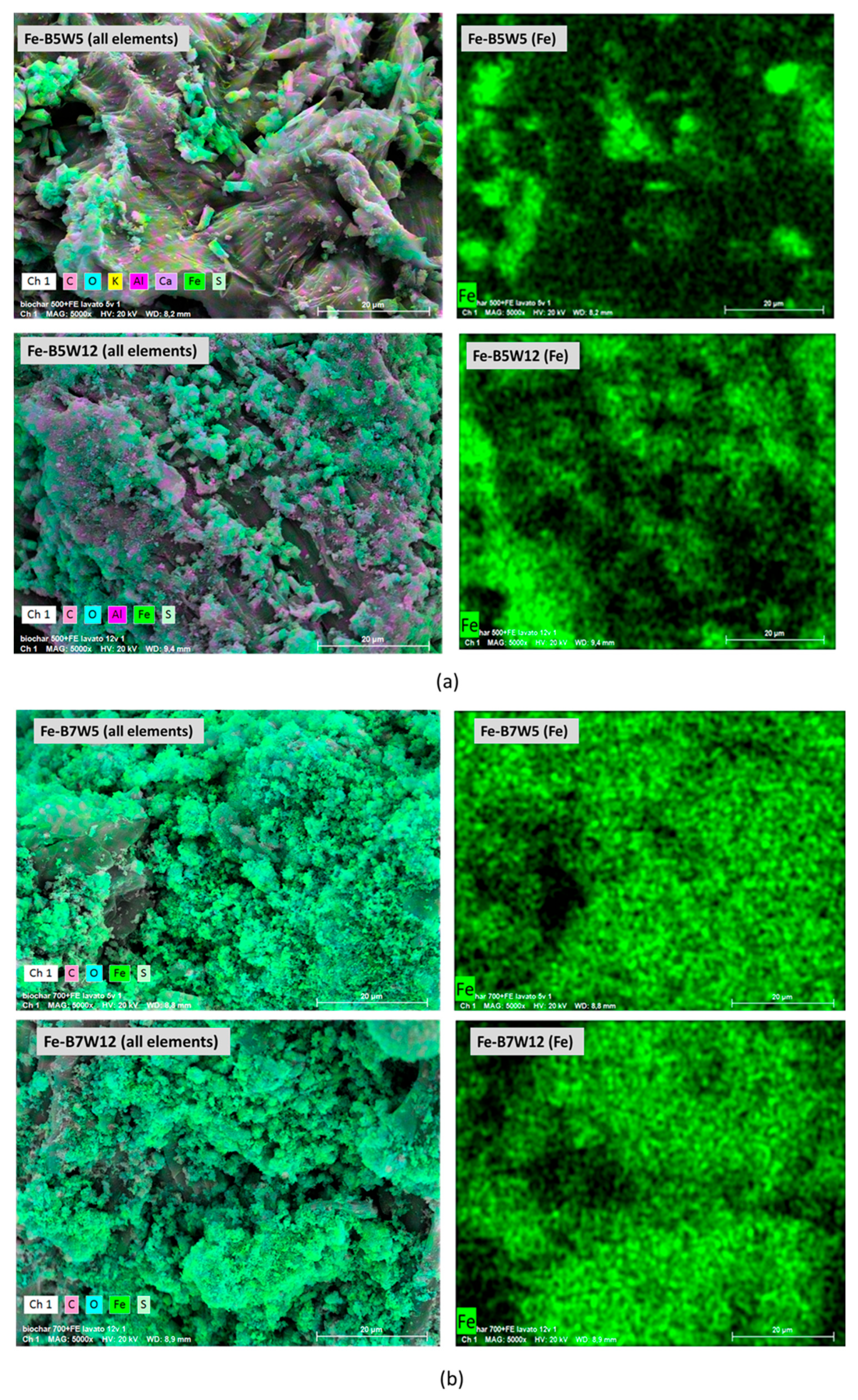 Carbon 11 00038 g008