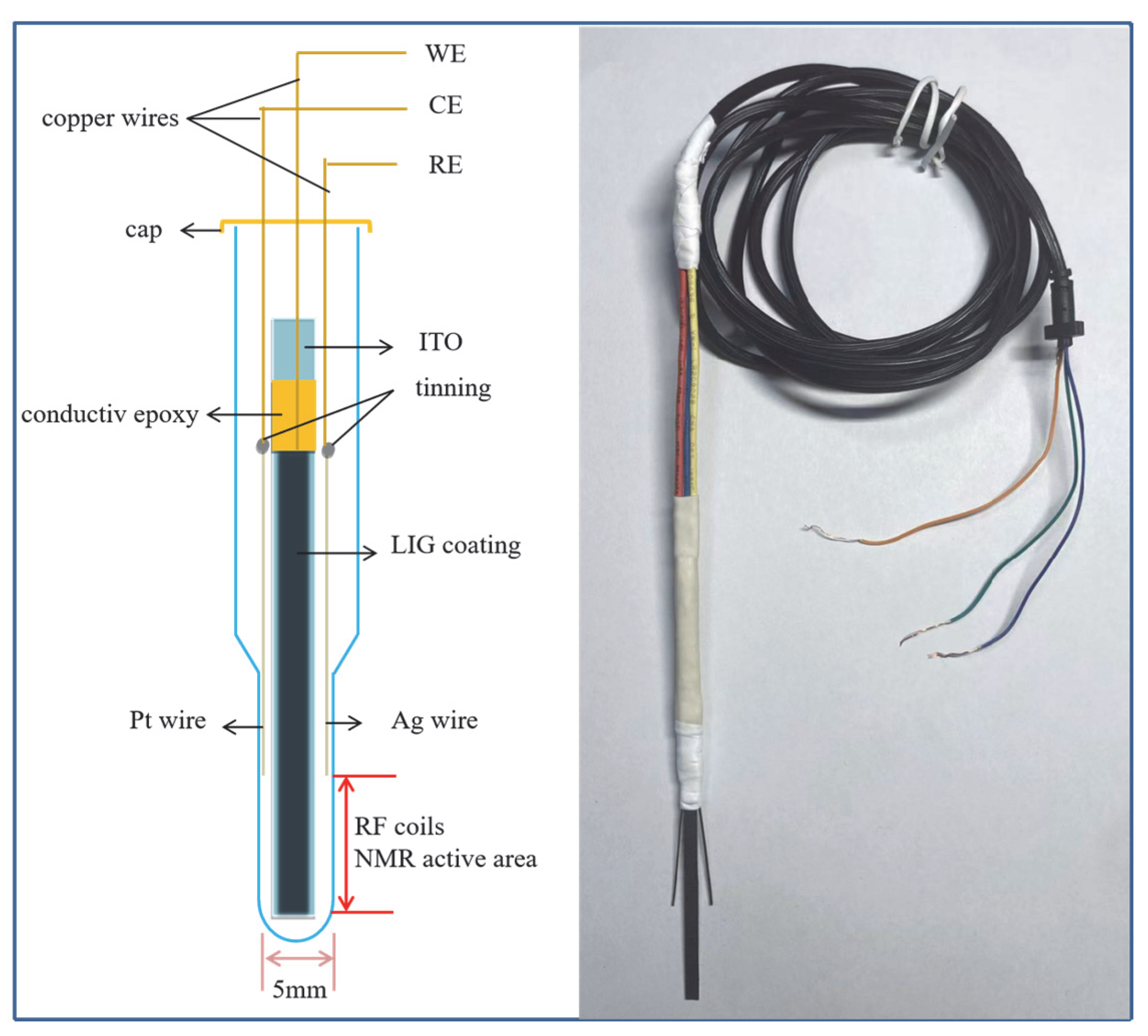Carbon 11 00052 g001