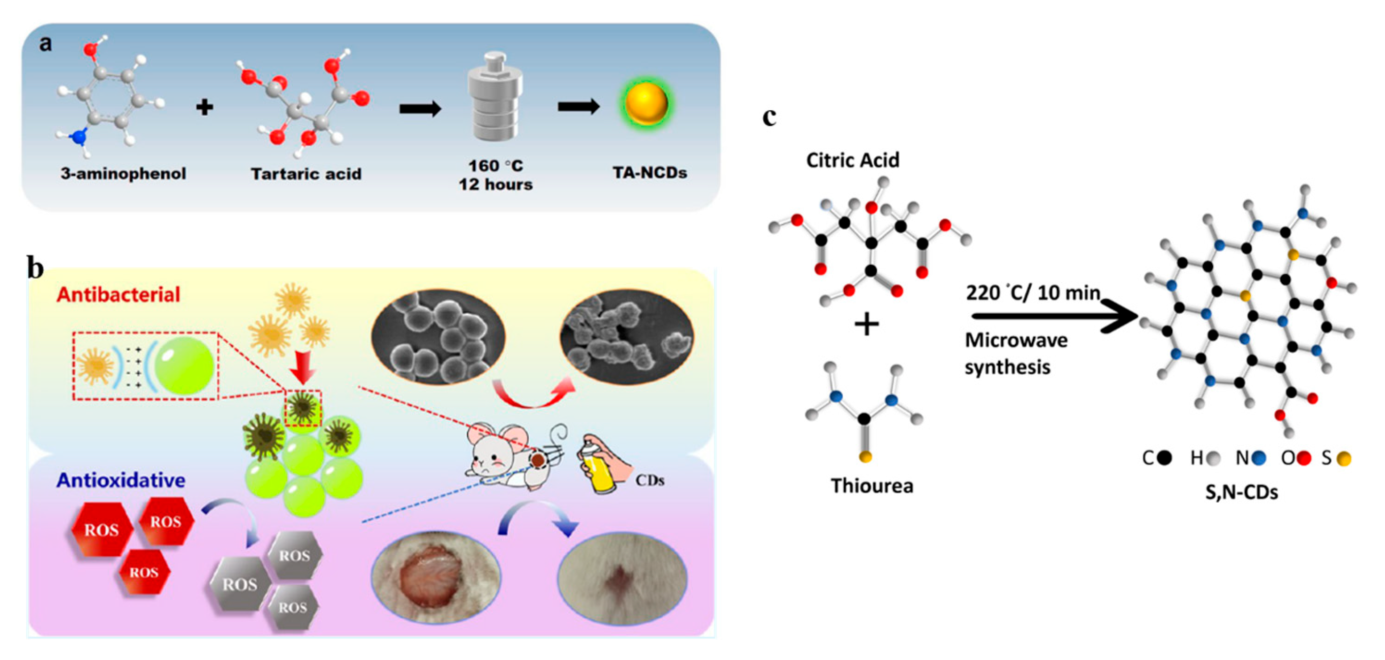 Carbon 11 00058 g002