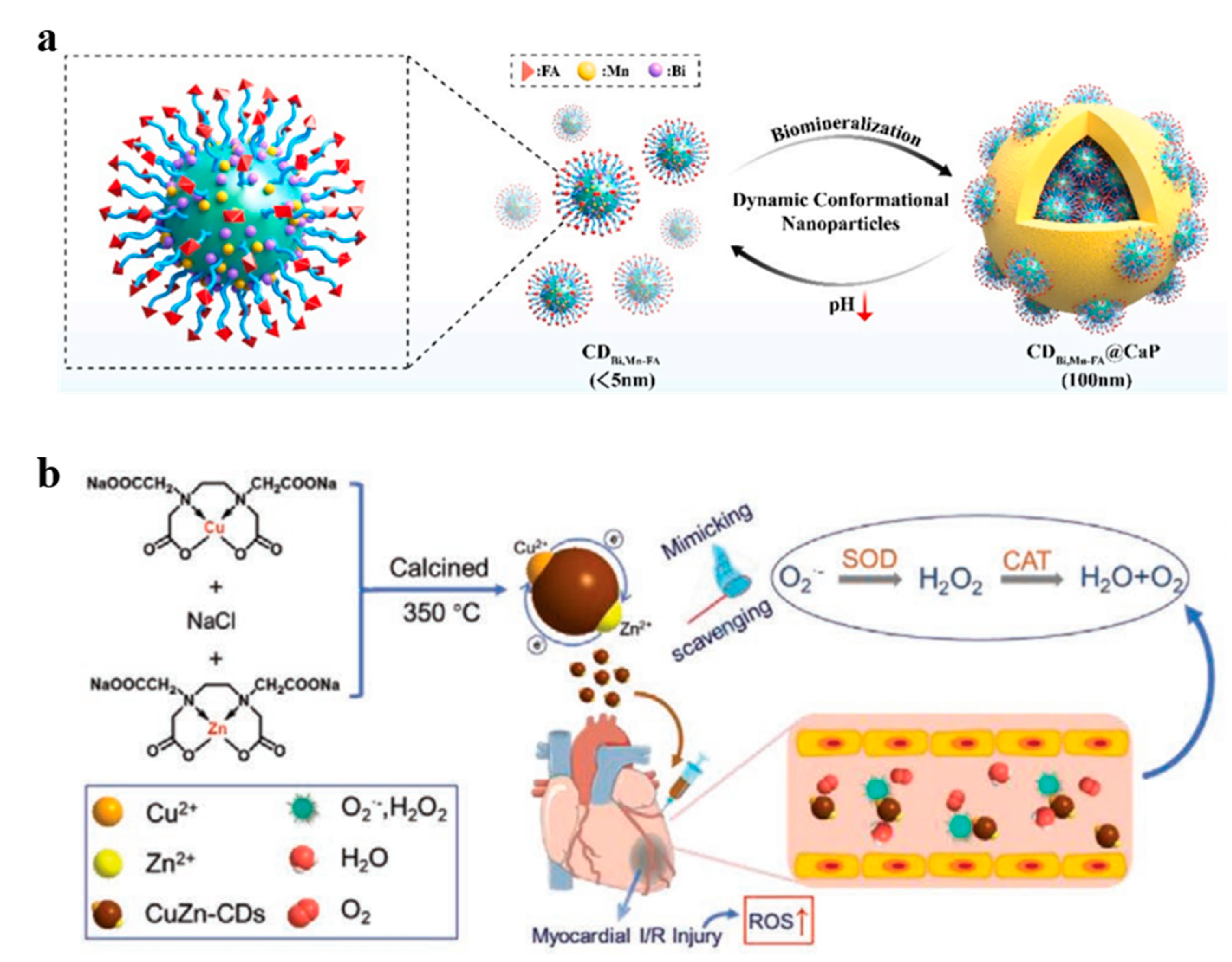 Carbon 11 00058 g003