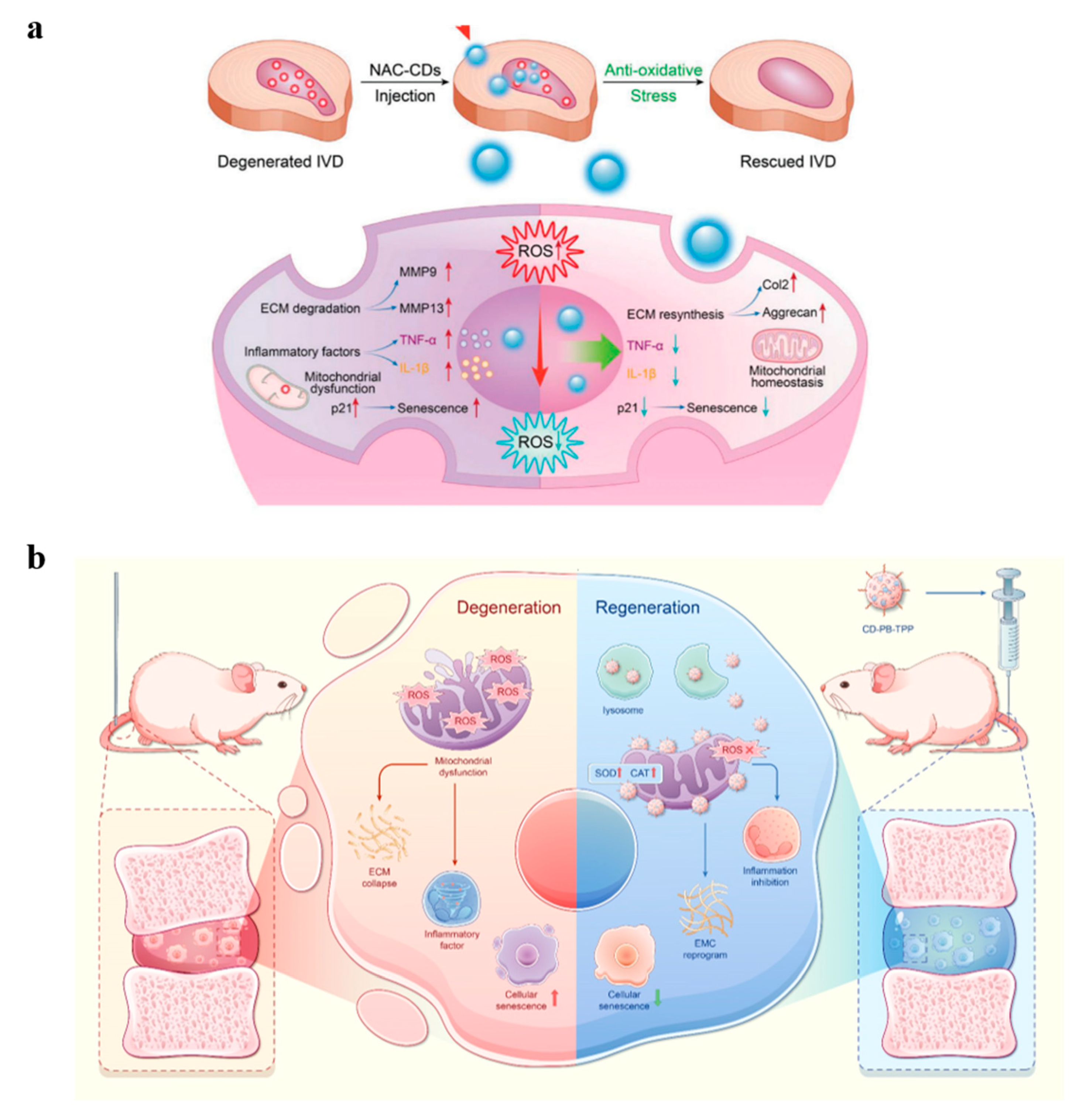 Carbon 11 00058 g005