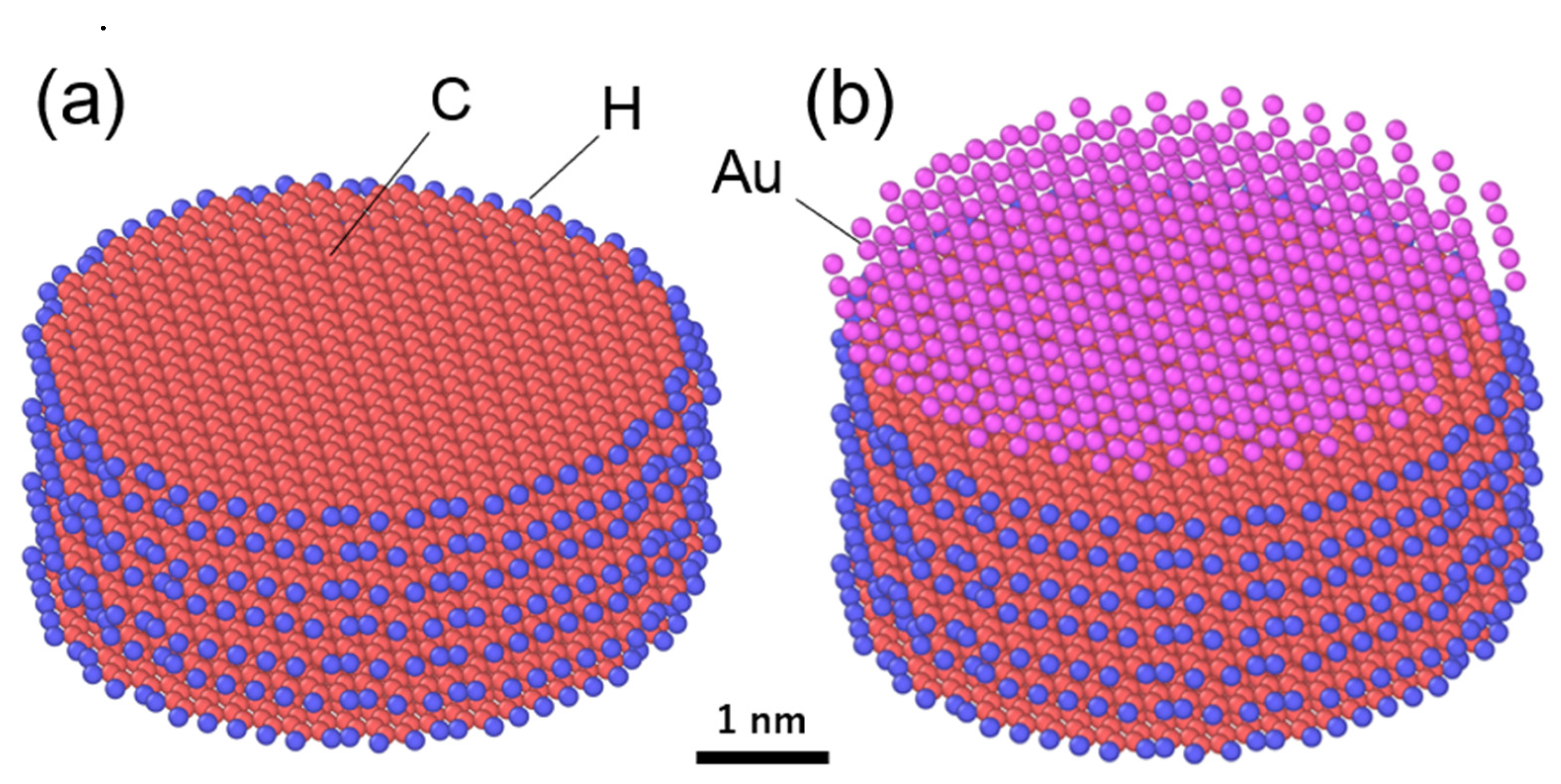 Carbon 11 00059 g001