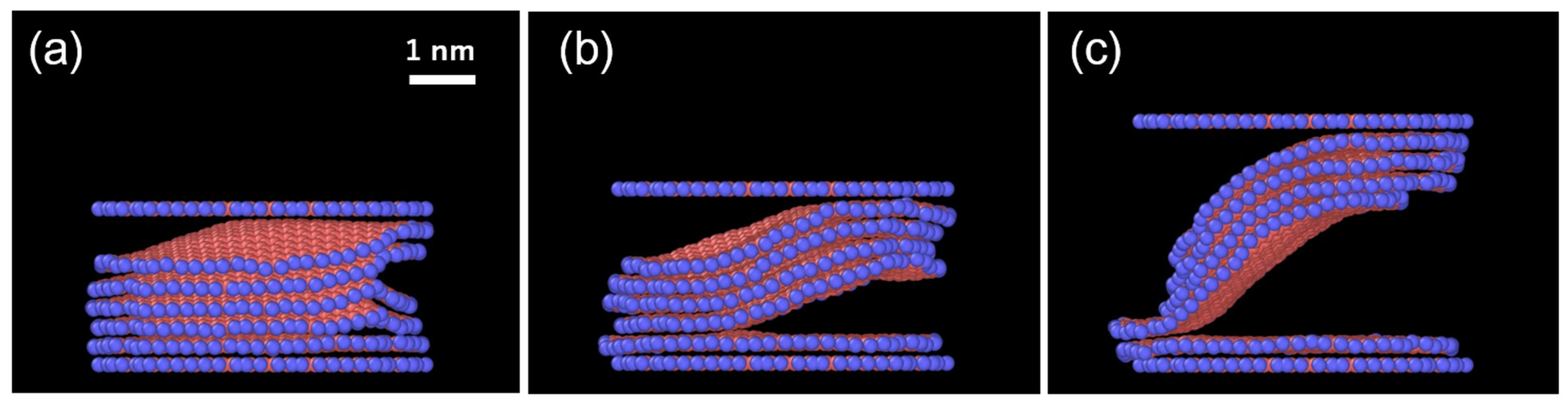 Carbon 11 00059 g002