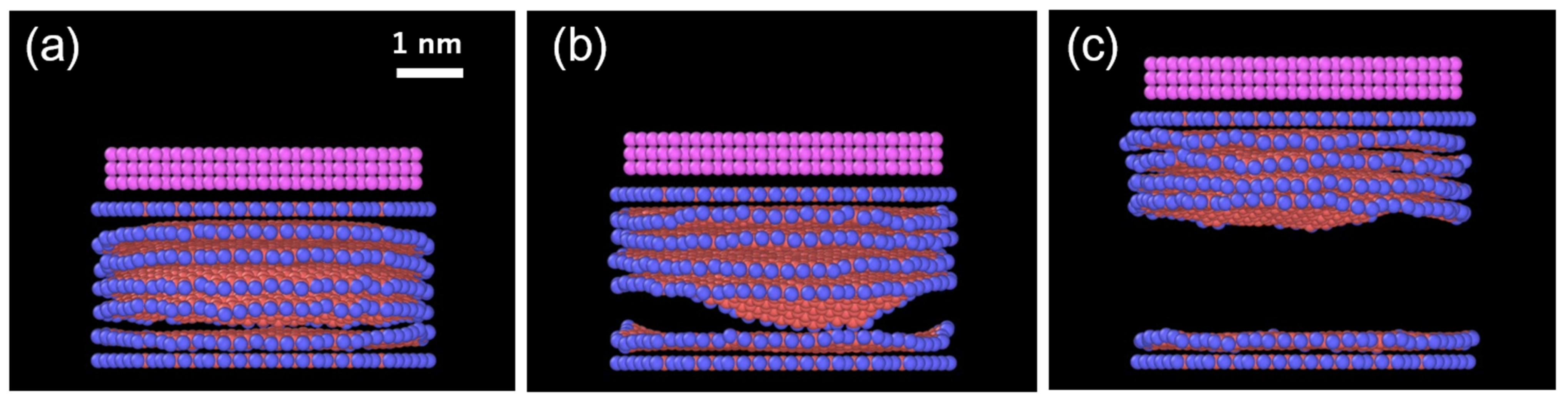 Carbon 11 00059 g005