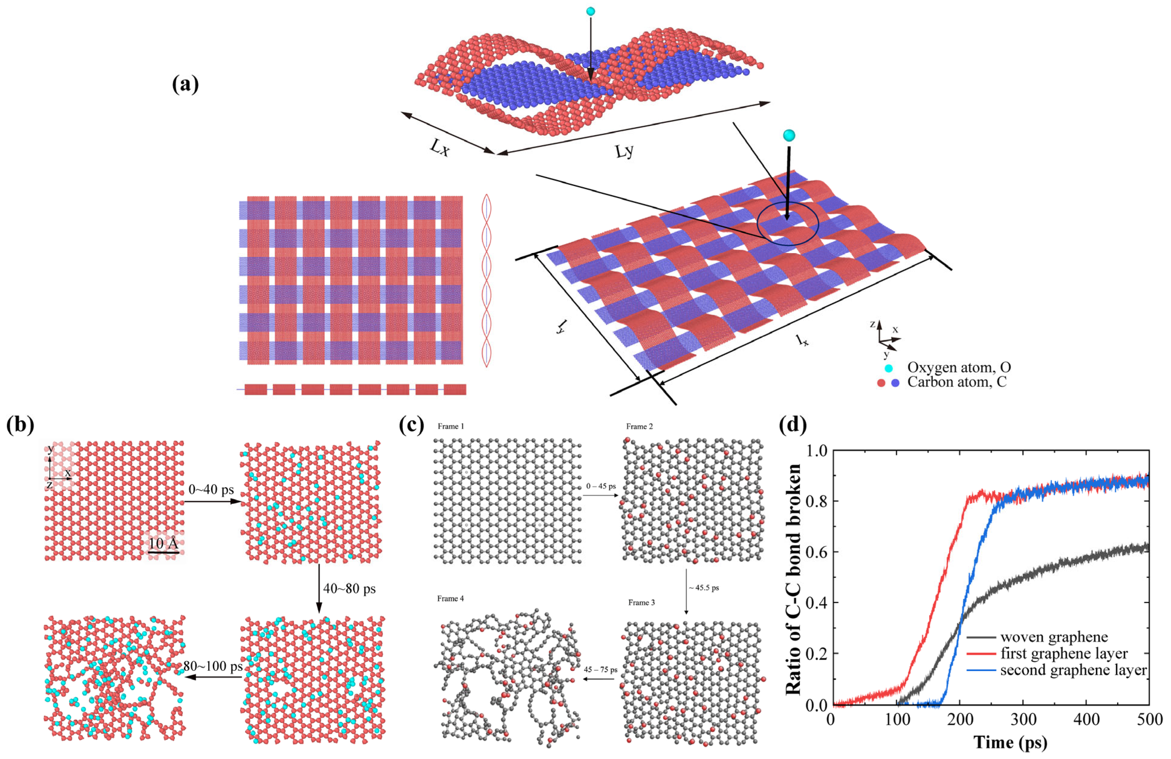 Carbon 11 00067 g001