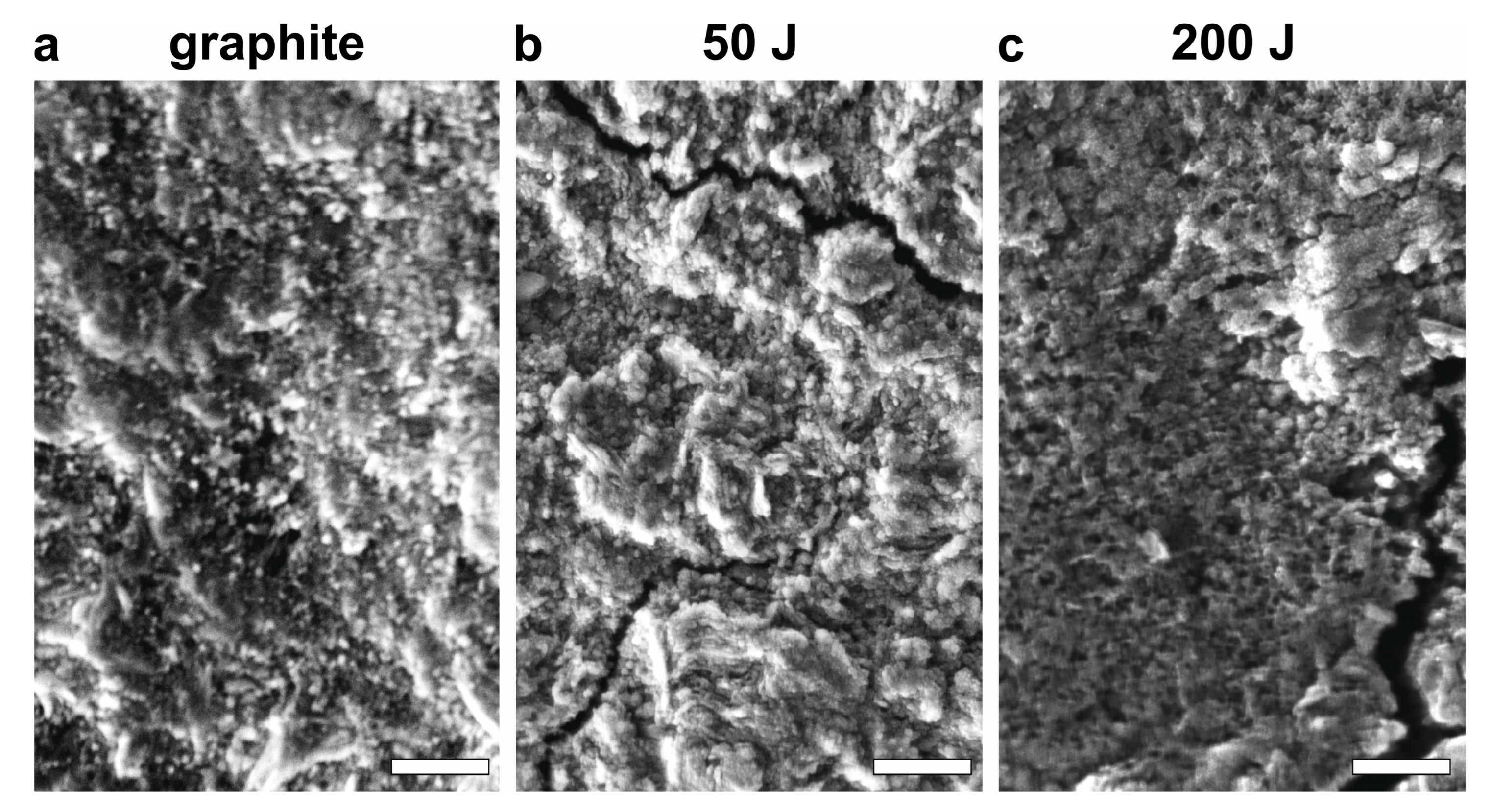 Carbon 11 00074 g002 Carbon 11 00074 g002