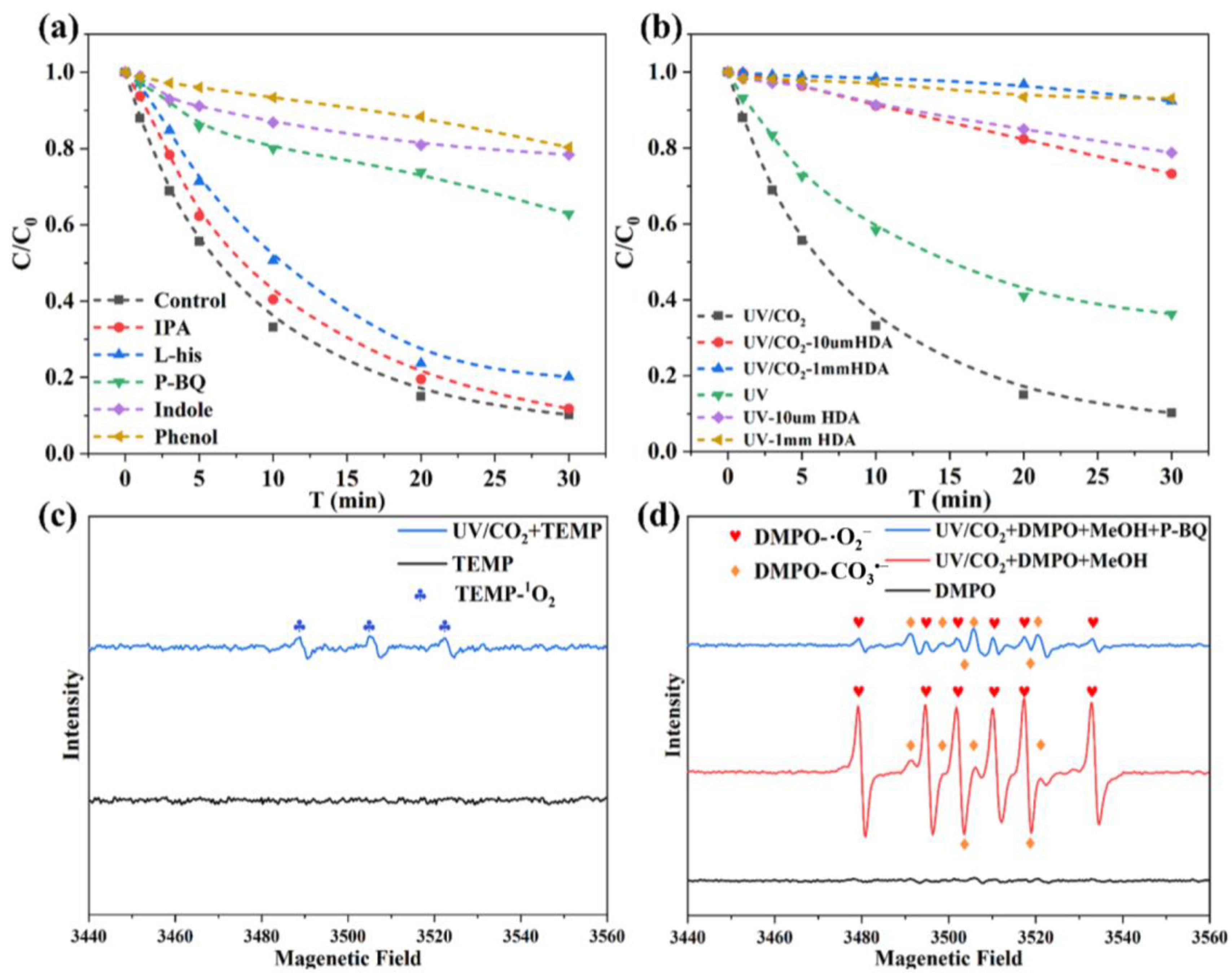 Carbon 11 00075 g006