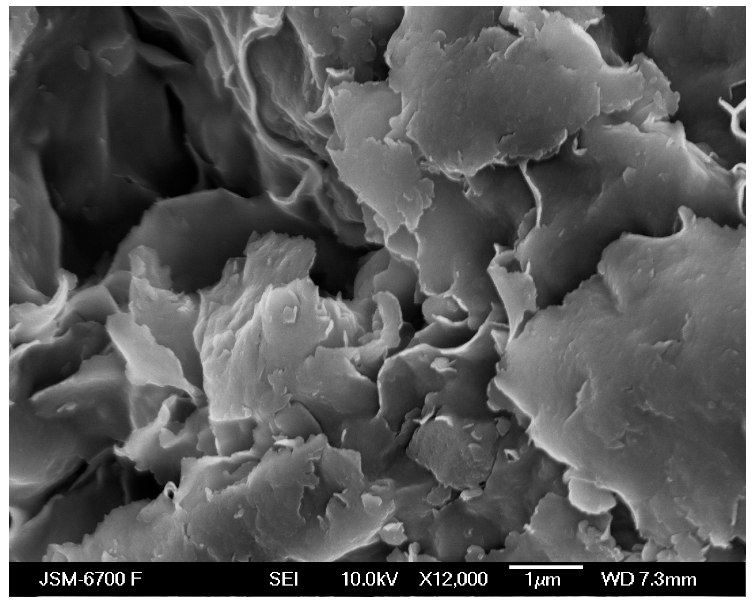 Carbon 11 00077 g002